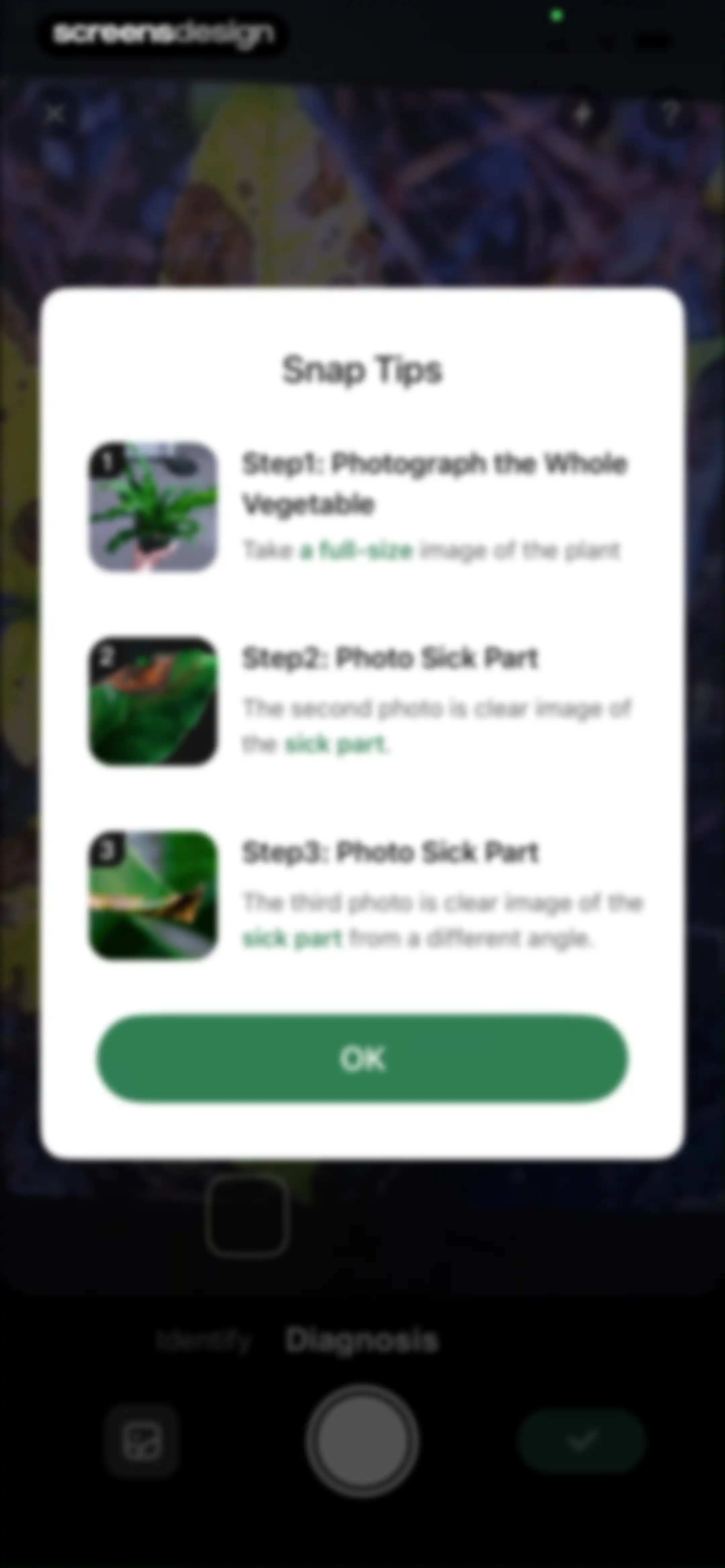PlantLush: Plant ID & Care Pro screen 32