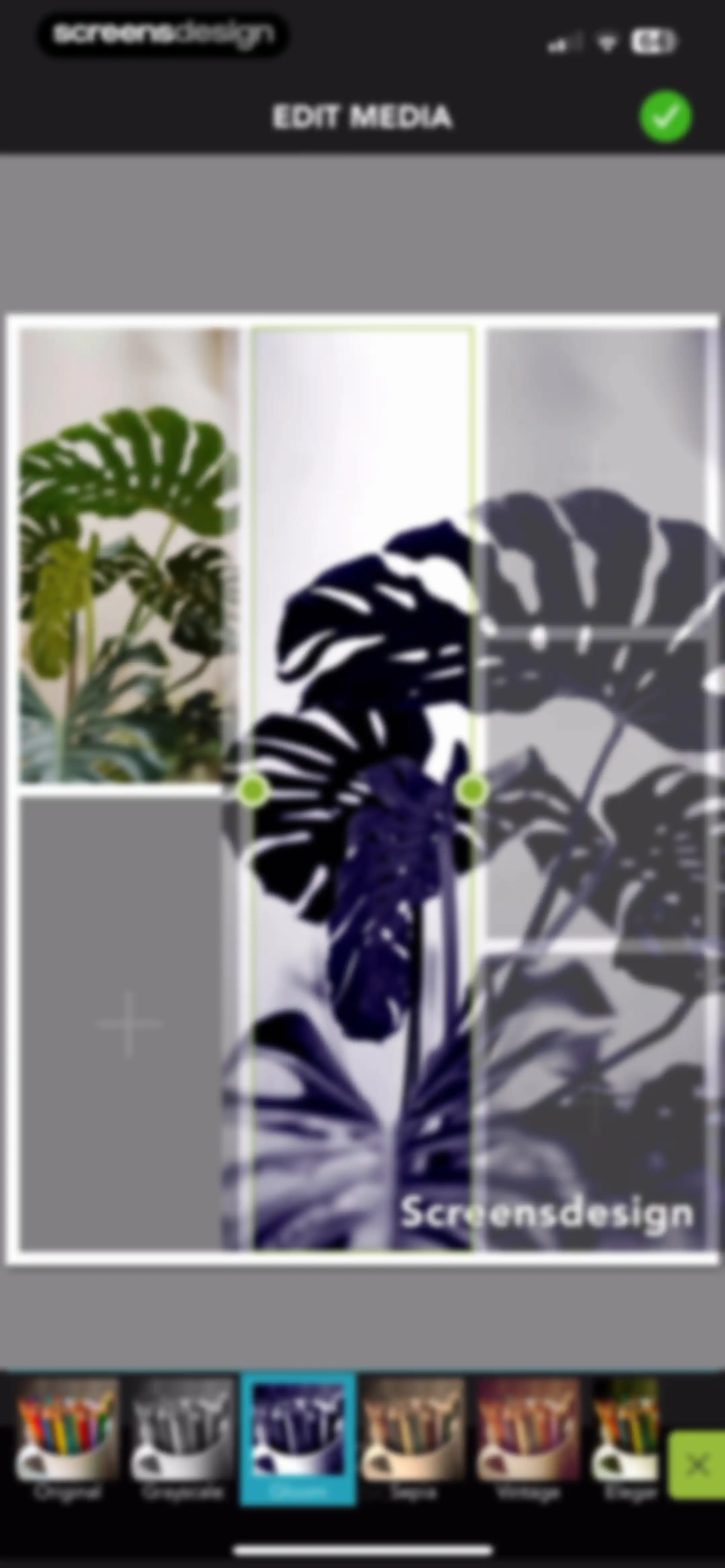 PicPlayPost: Video Editor screen 112