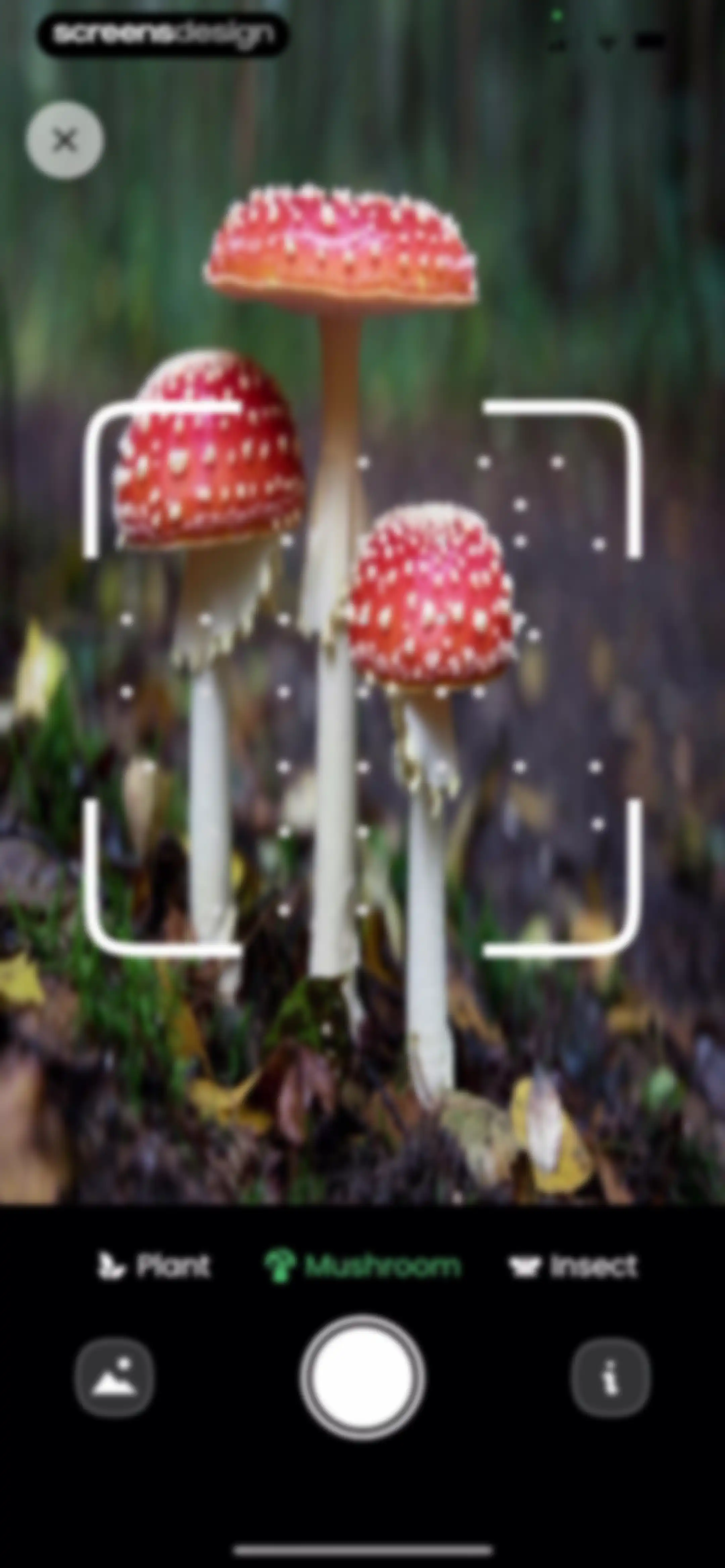 Plant Identifier: Plantiary screen 98
