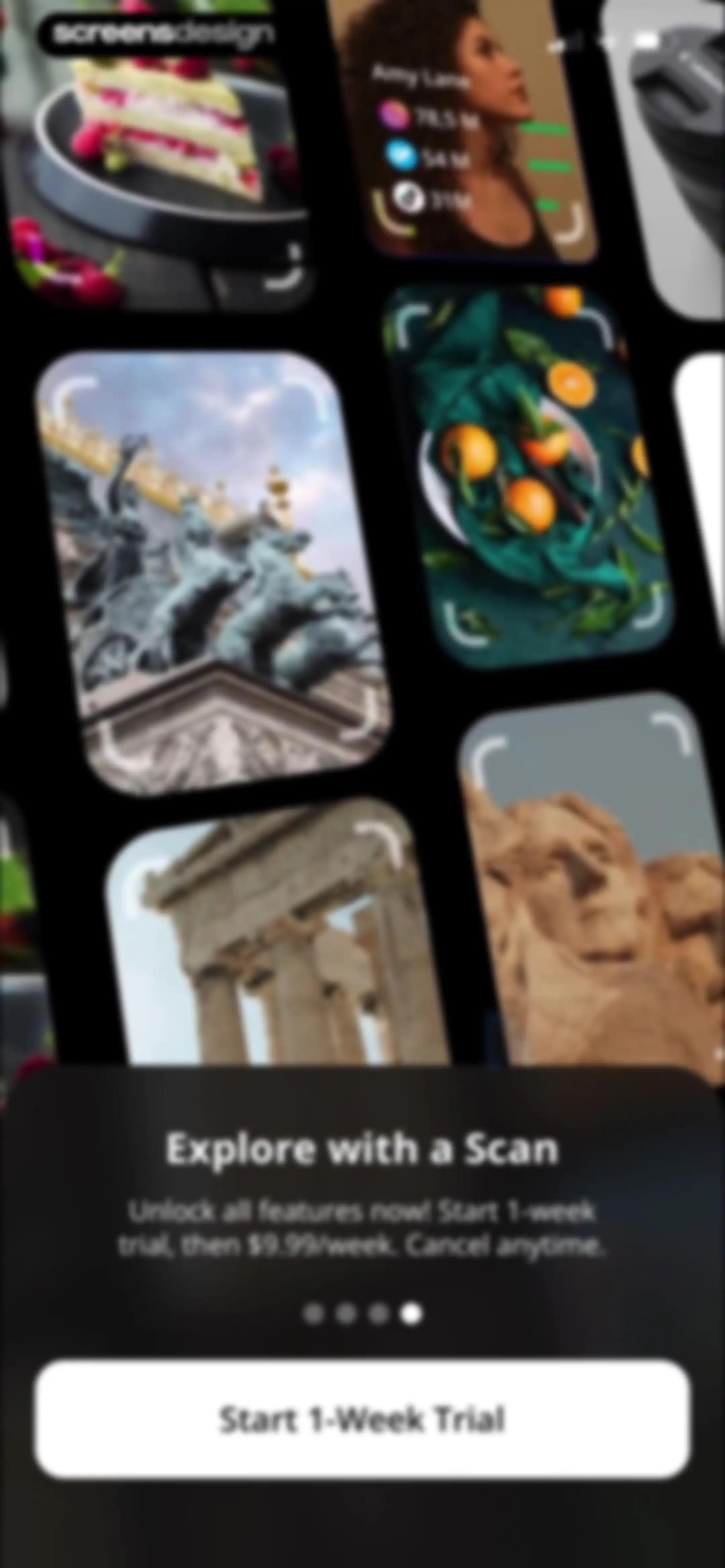 Lens AI: Identify Anything screen 9