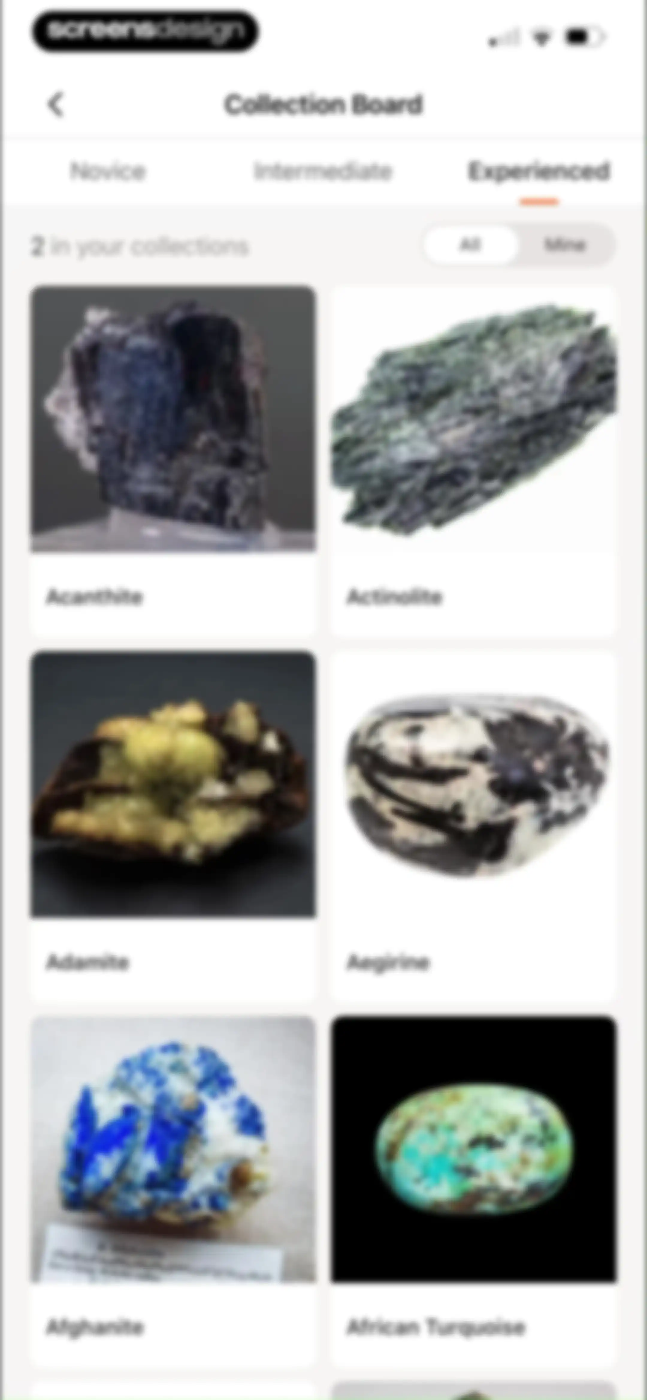 Rock Identifier: Stone ID screen 101