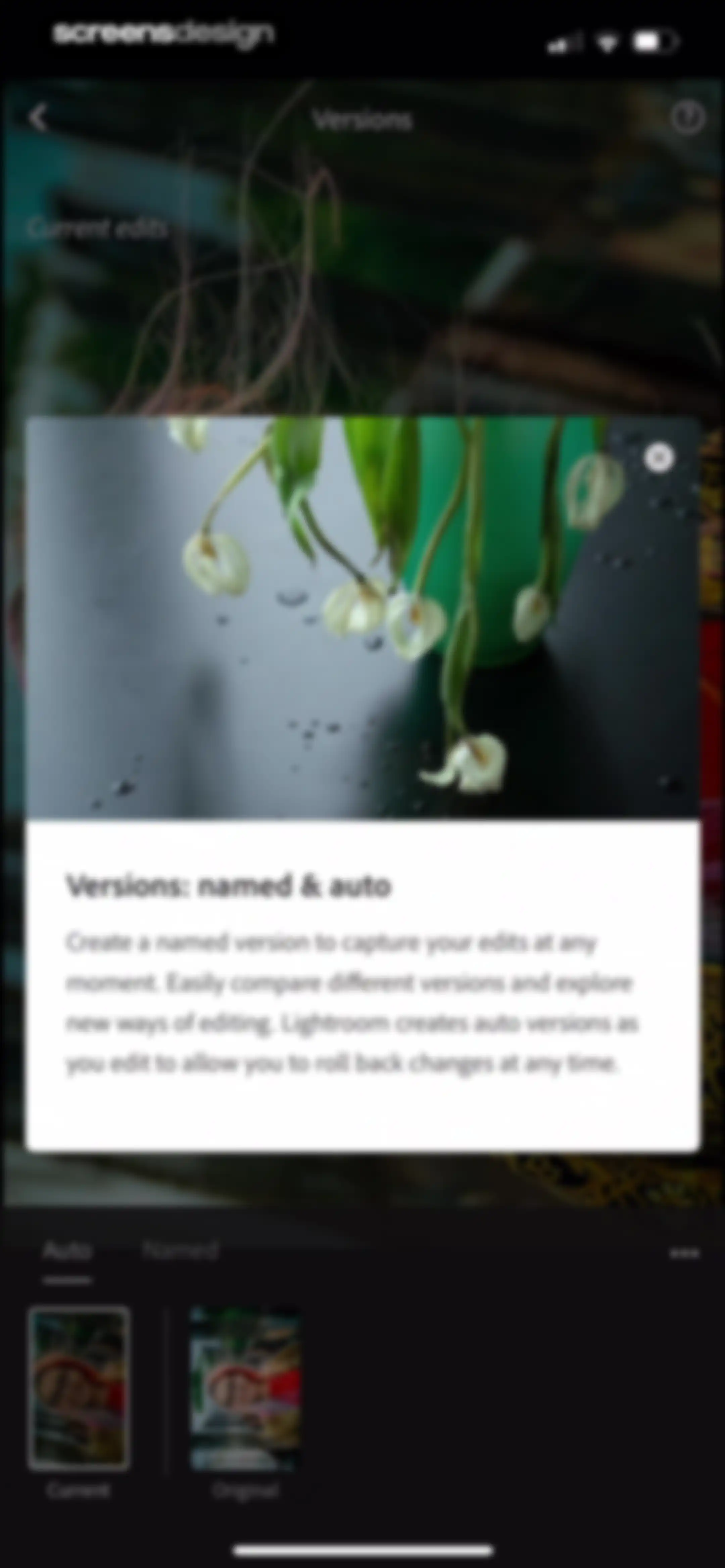 Lightroom: AI Photo Editor screen 111