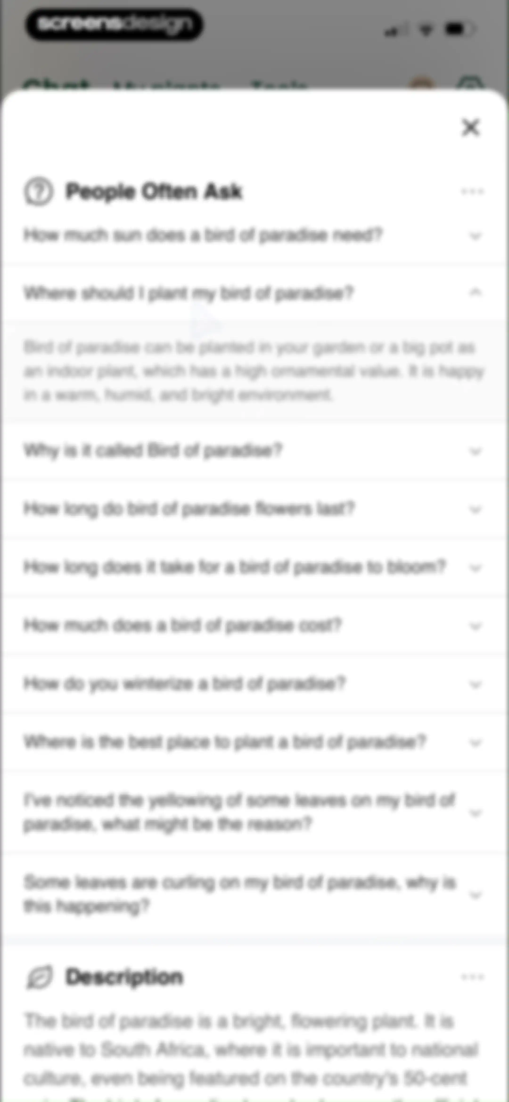 PlantAI: Identifier & Diagnose screen 26