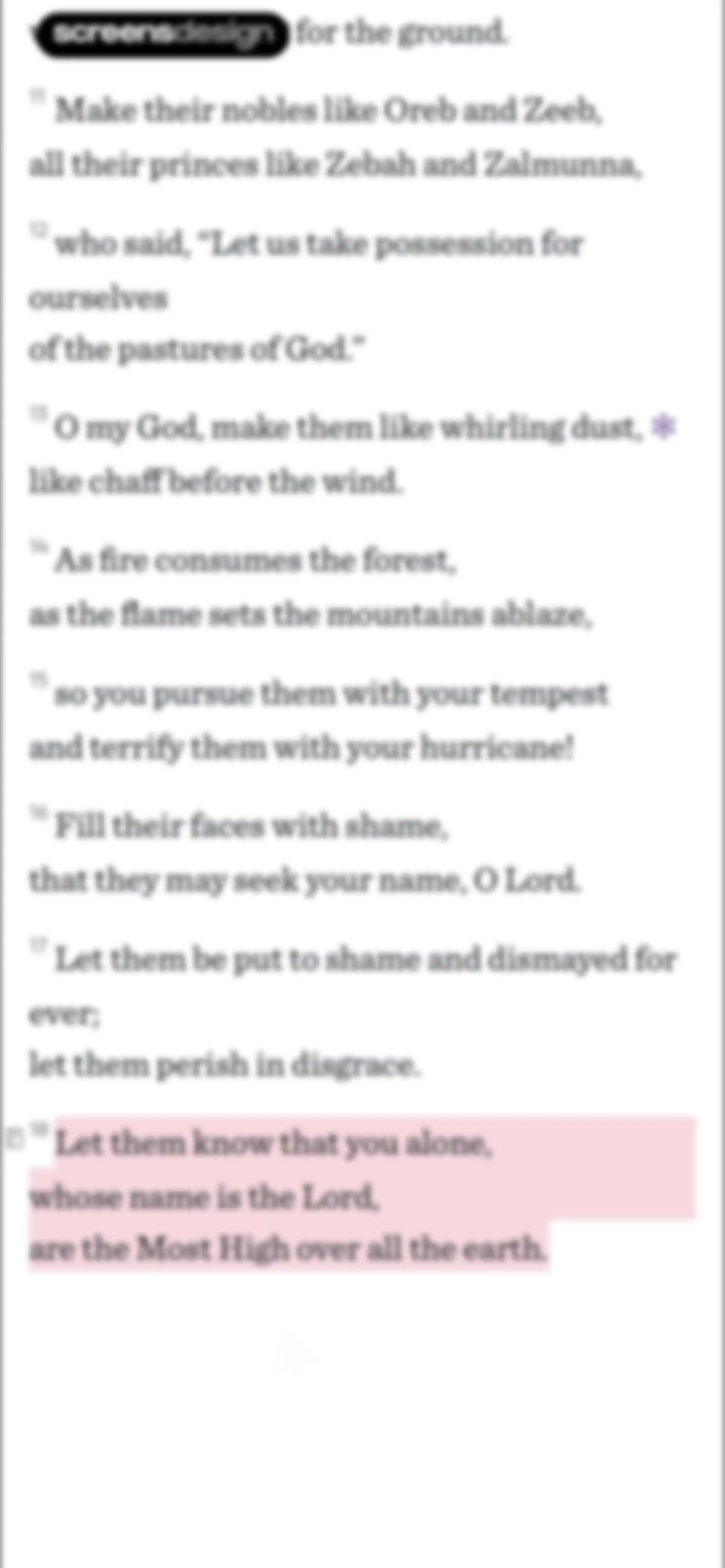 Ascension: Catholic Bible screen 45