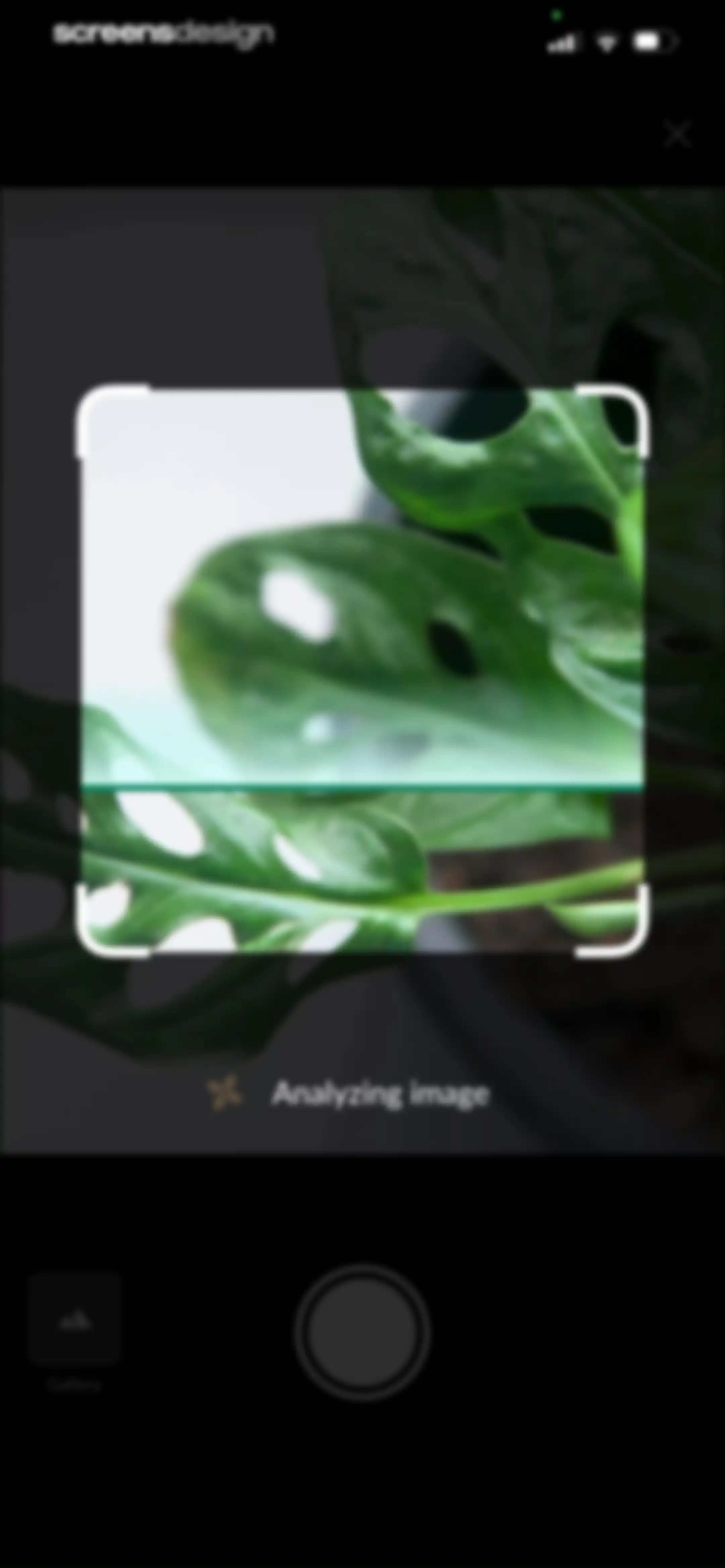 Plant Identification－Plantaria screen 26