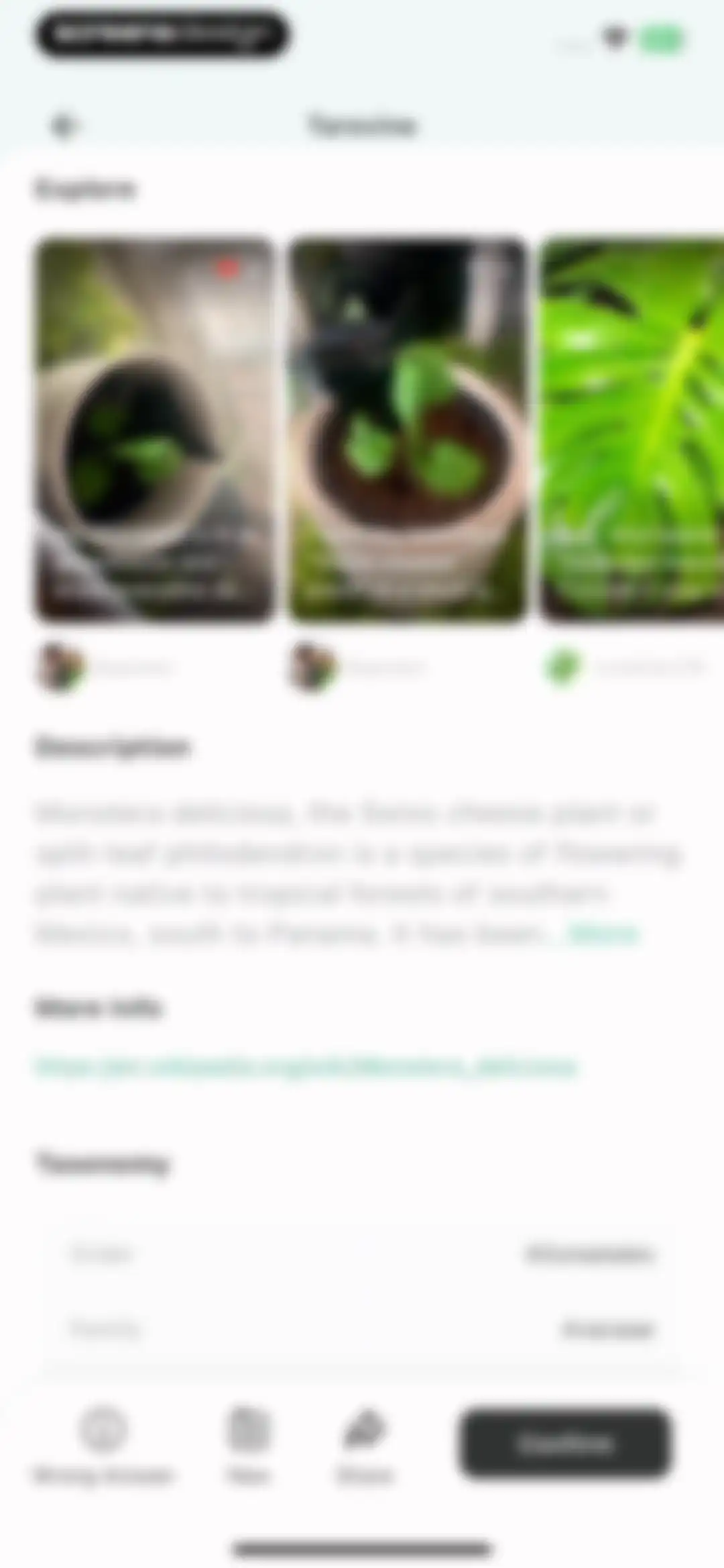 Plant Identification ++ screen 12