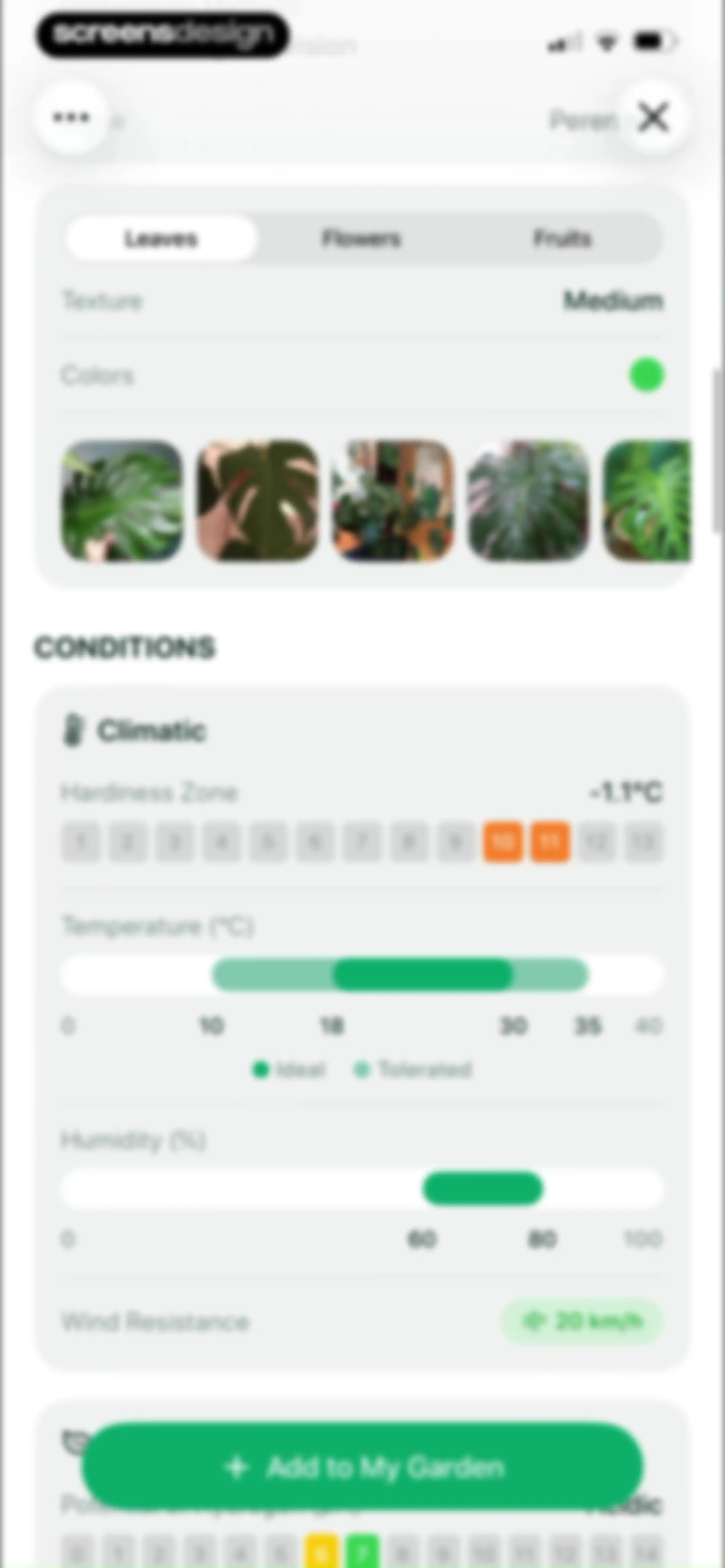 Planto: Plant Identifier screen 15