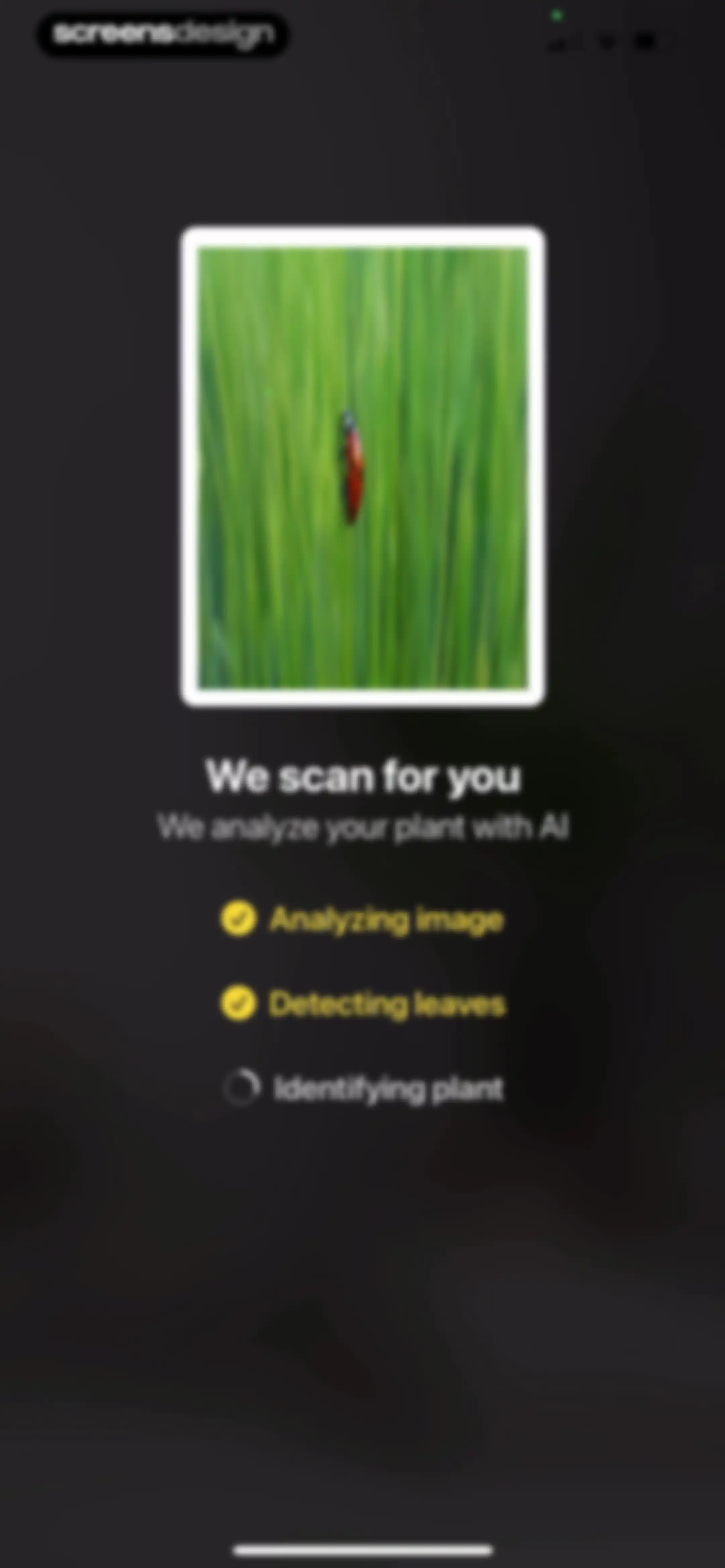 Plant App: Plant Identifier screen 70