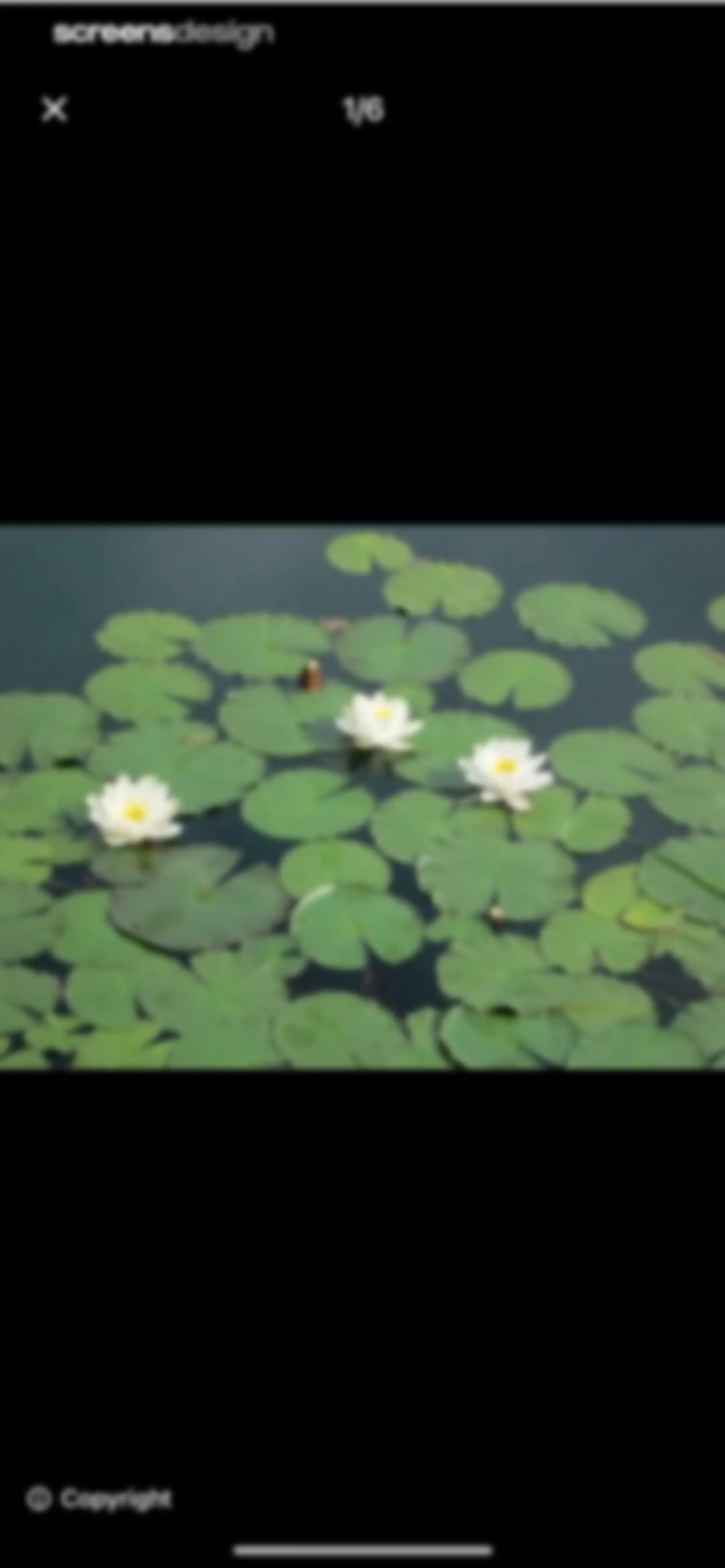 PictureThis - Plant Identifier screen 114