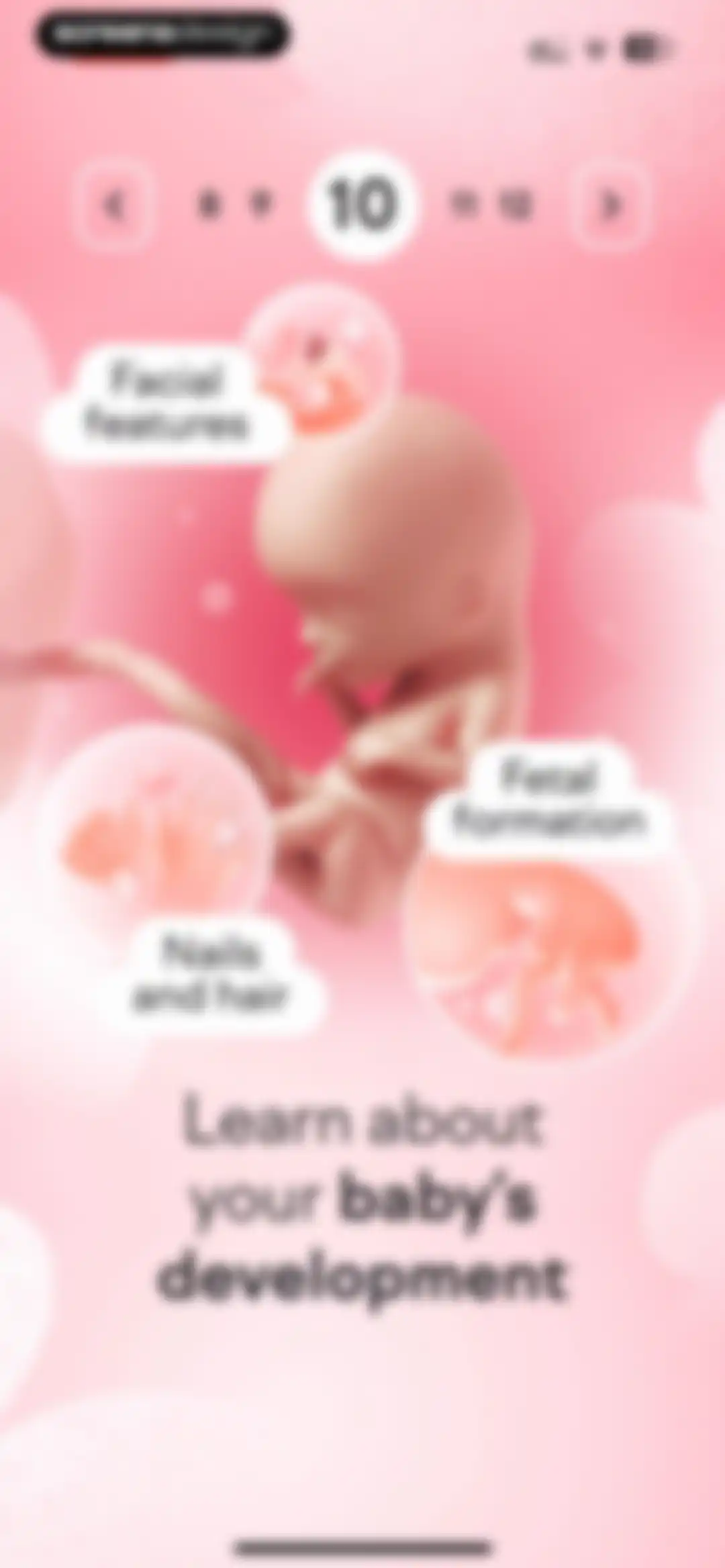 amma: Pregnancy & Baby Tracker screen 47