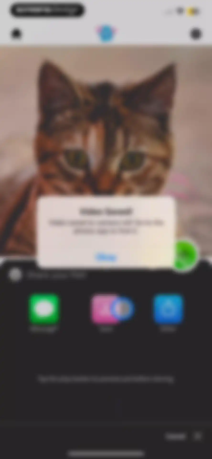 My Talking Pet screen 32