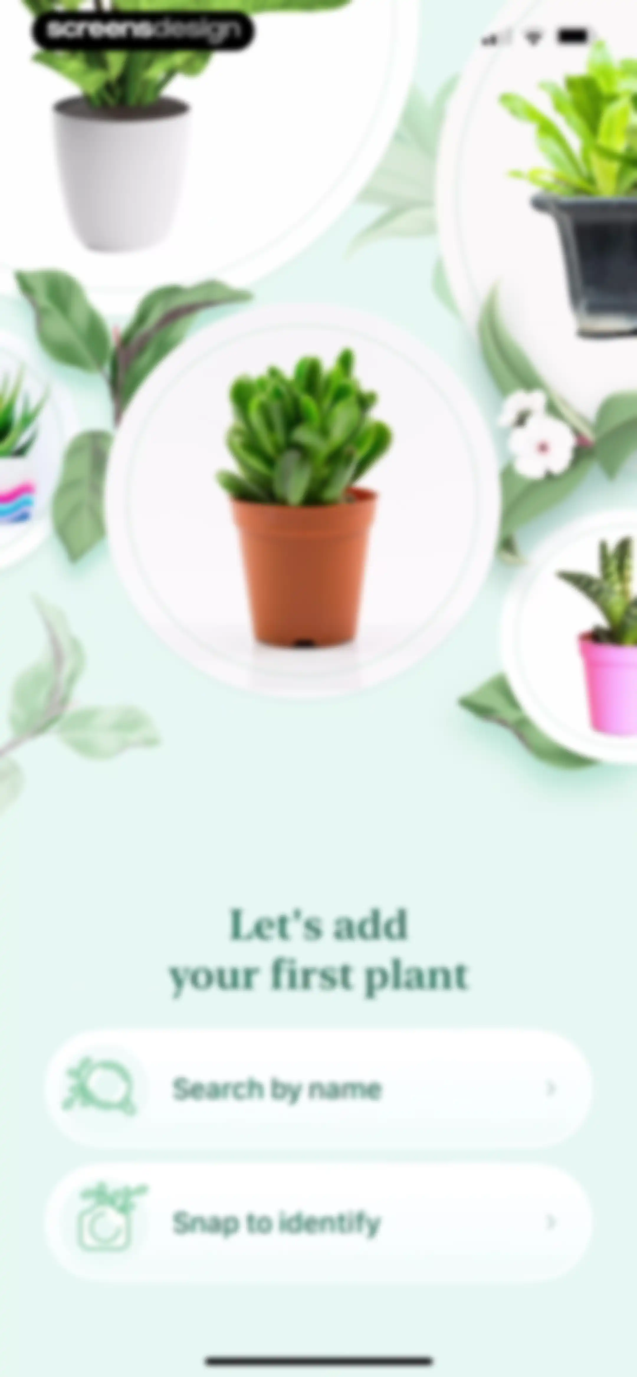 Blossom - Plant Care Guide screen 12