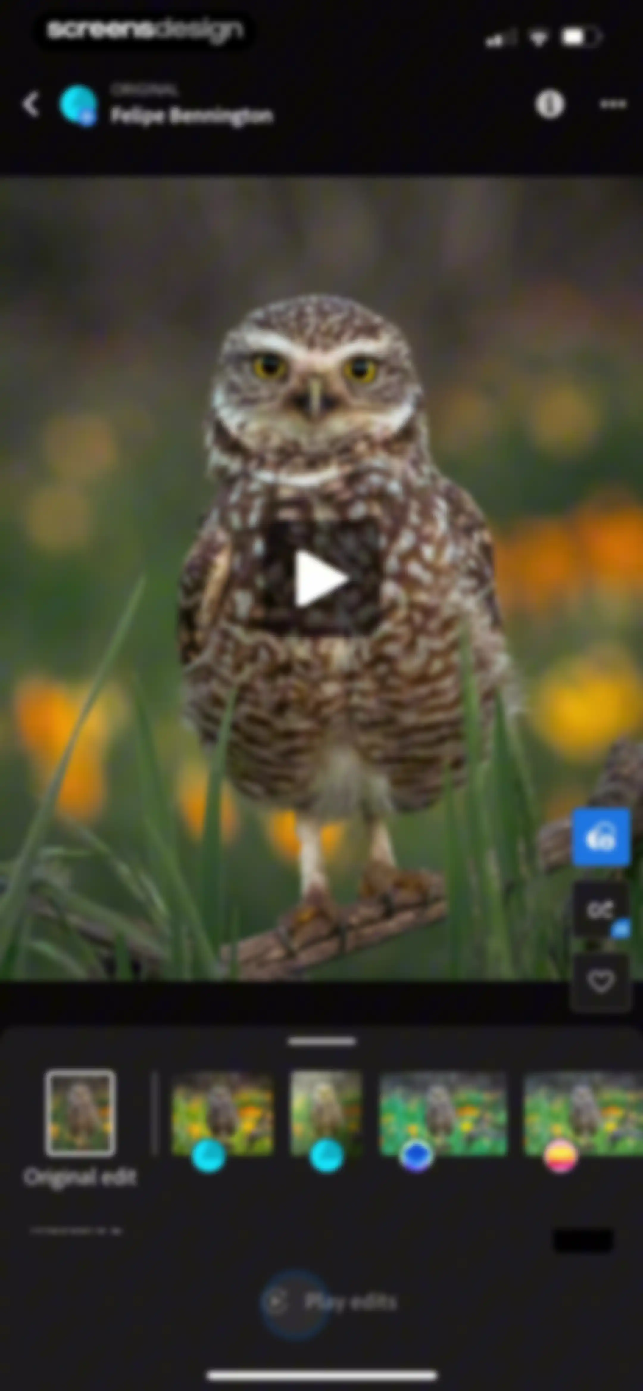 Lightroom: AI Photo Editor screen 161