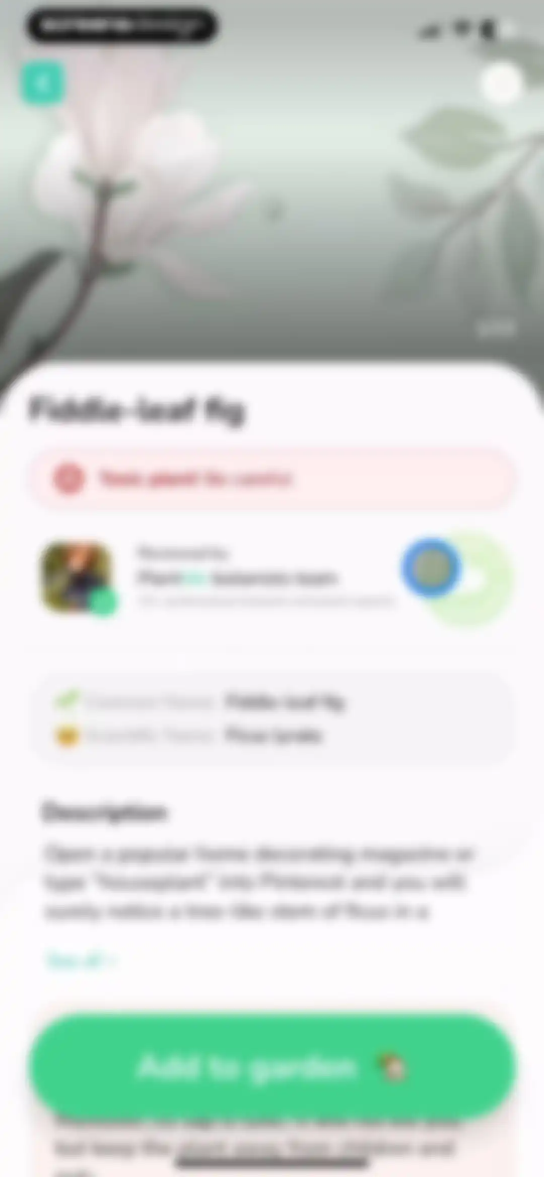 Plant Identifier - PlantMe screen 39