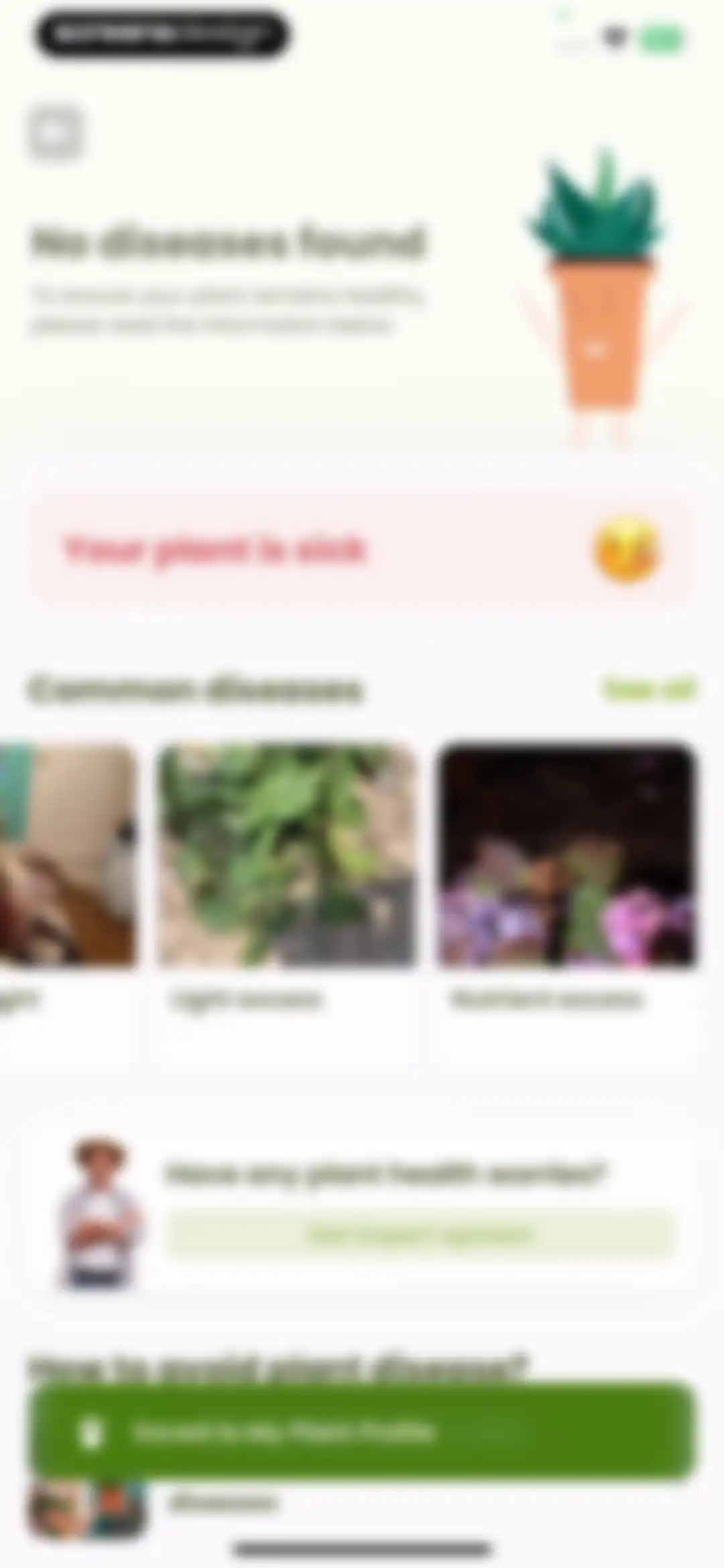 Plant Identifier & Care: Ficus screen 57
