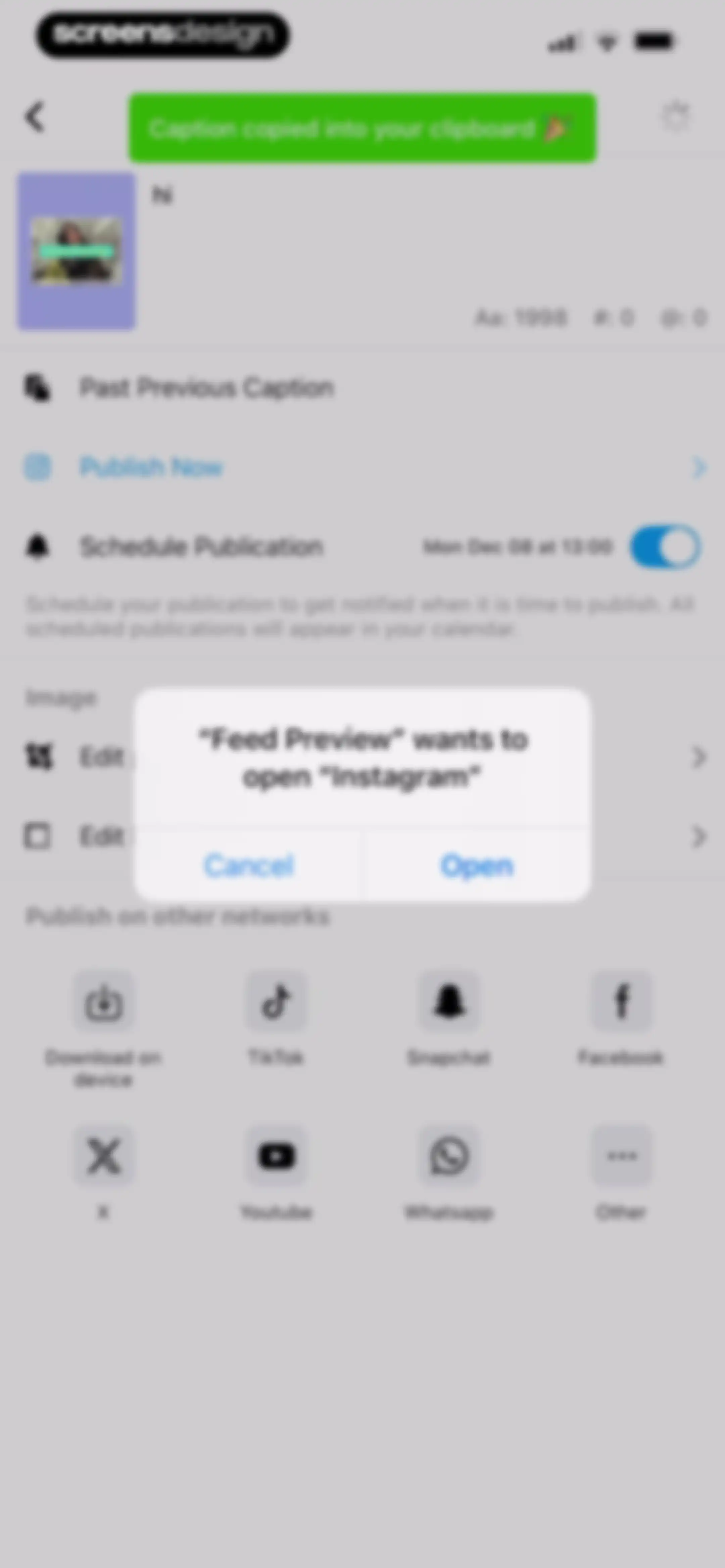 Feed Preview: Planner for IG screen 87