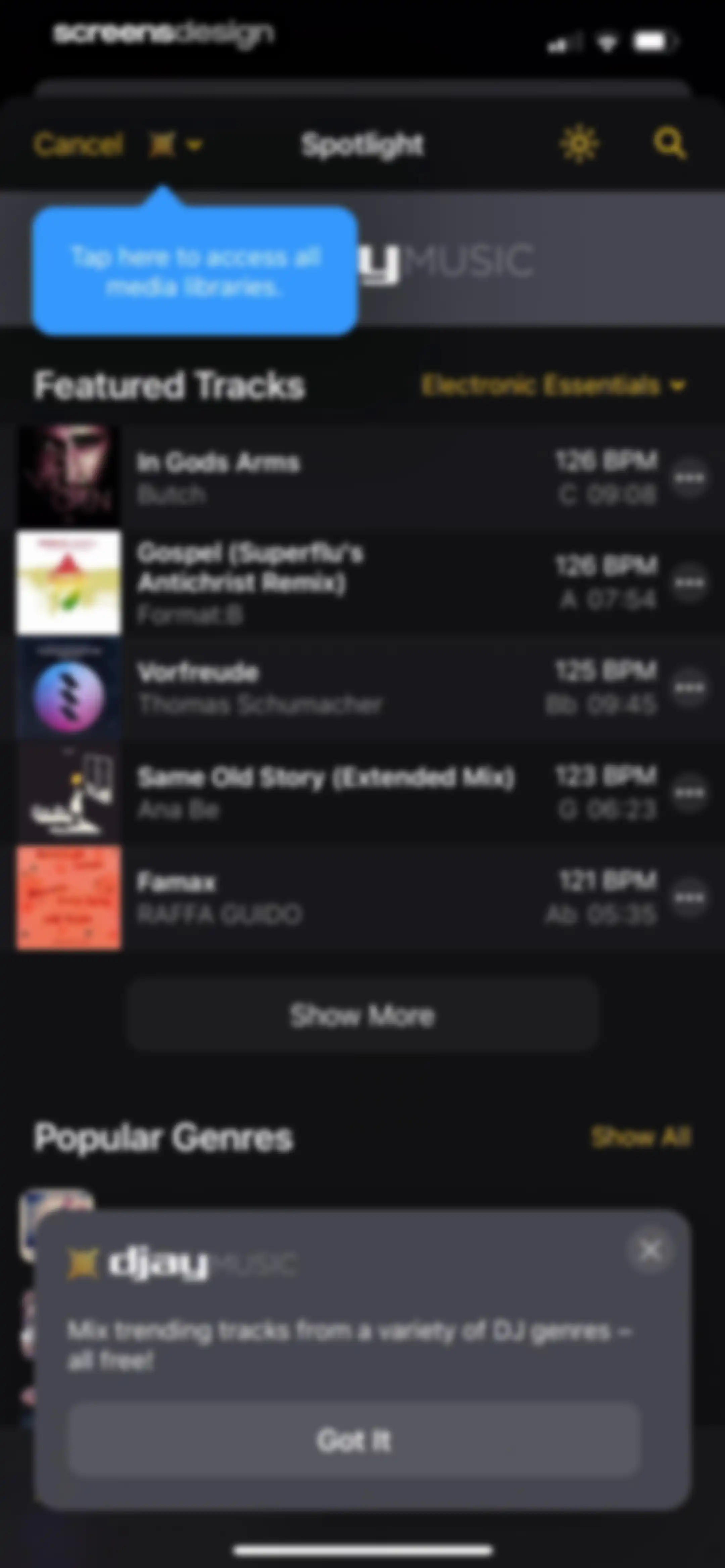 djay - DJ App & AI Mixer screen 13