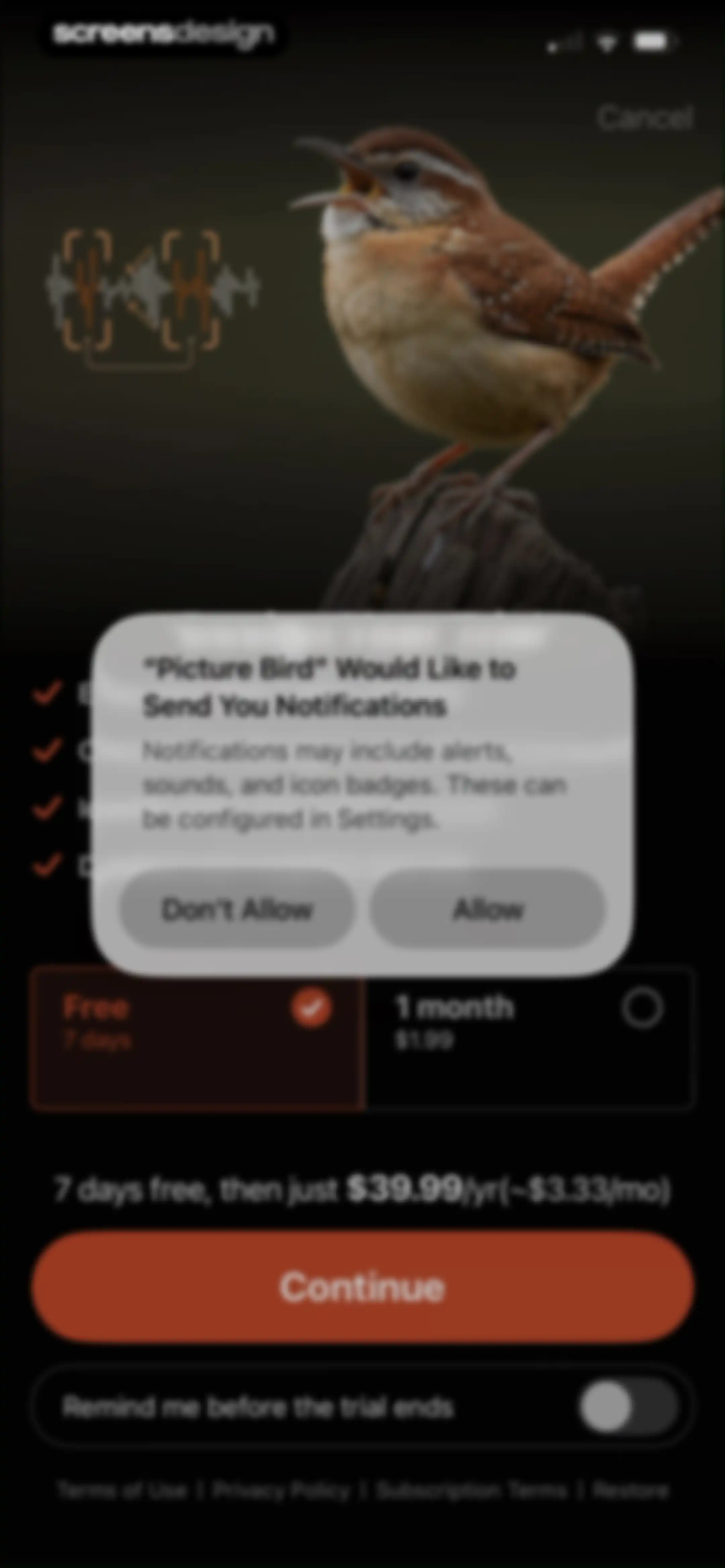 Picture Bird: Bird identifier screen 17