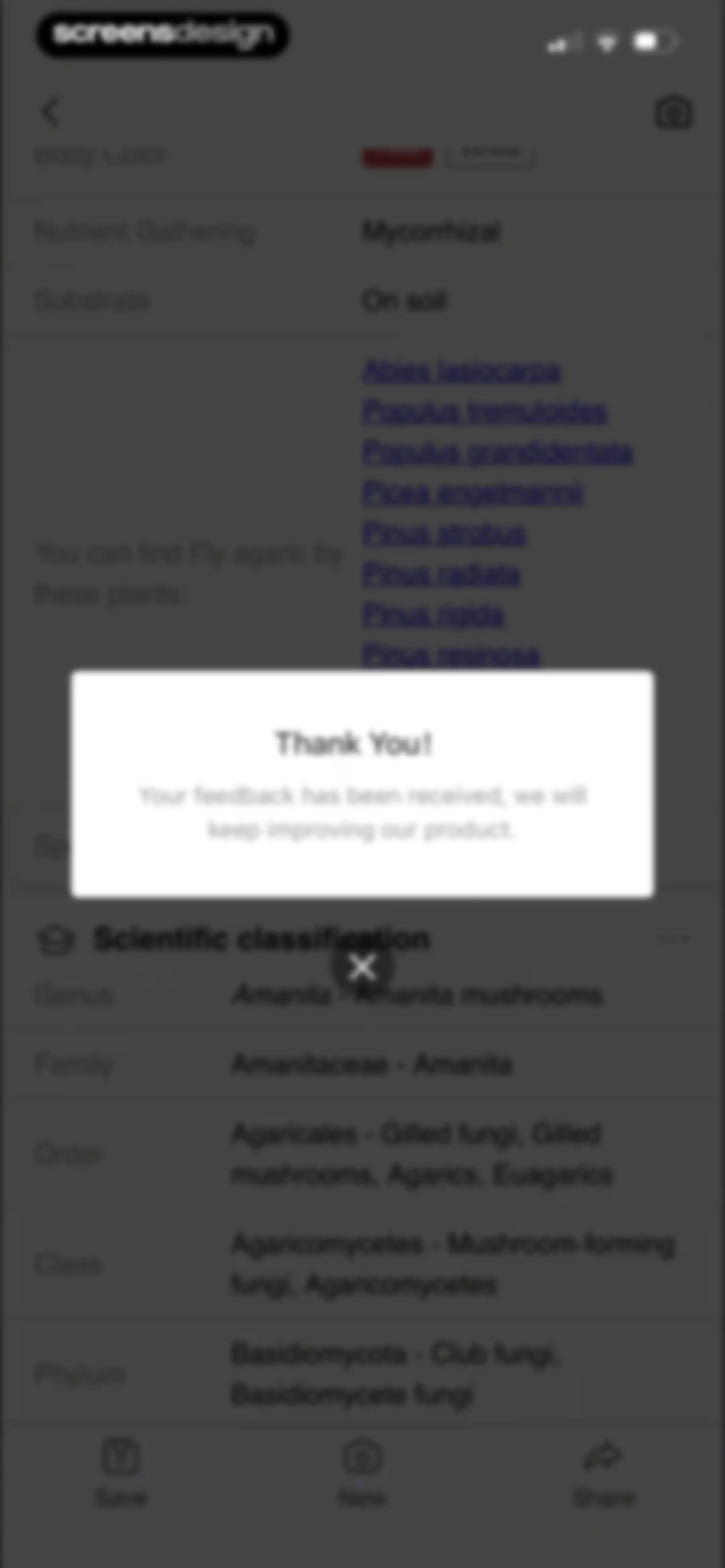 Picture Mushroom: Identifier screen 49