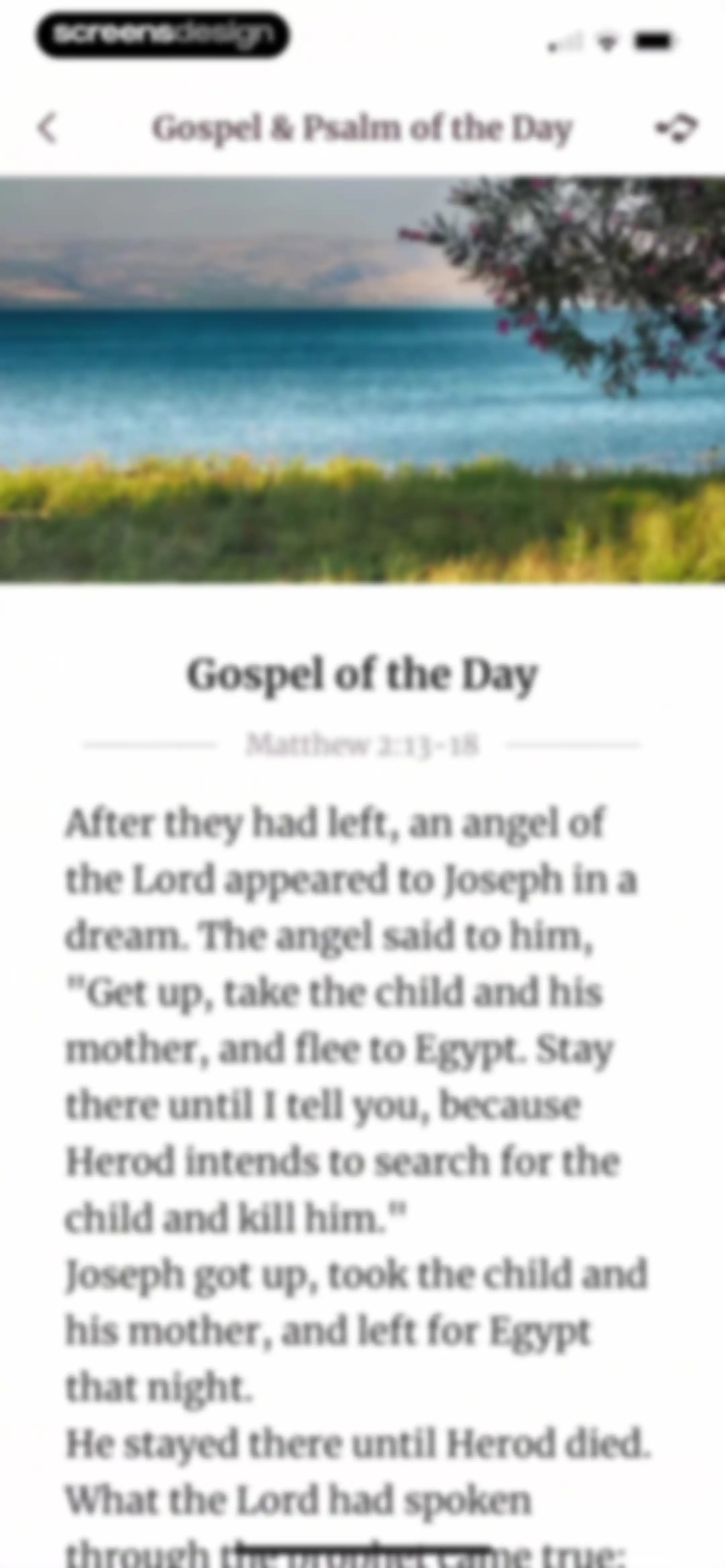 Bible For Women. screen 12