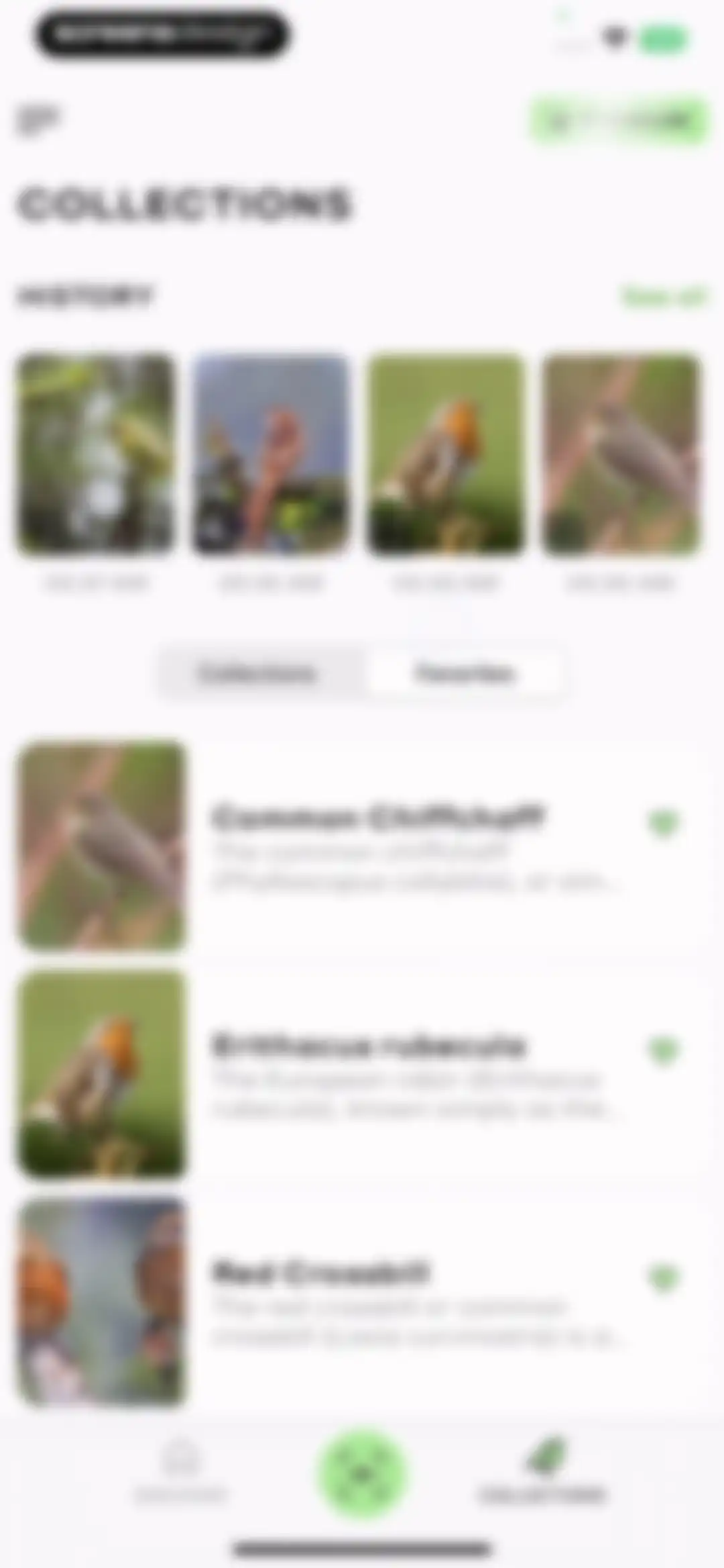 Bird Sounds Identifier Call ID screen 45