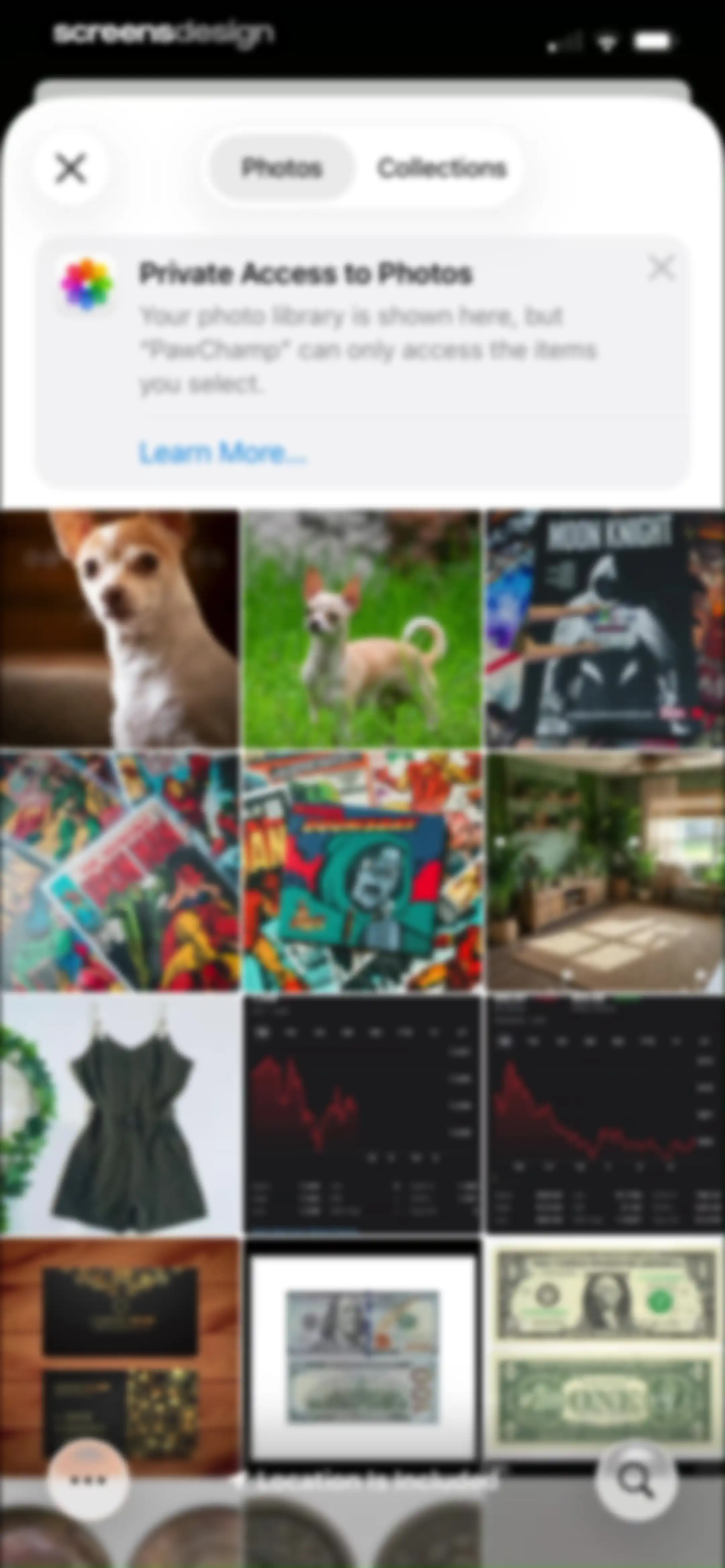 PawChamp - Dog Training & Care screen 90