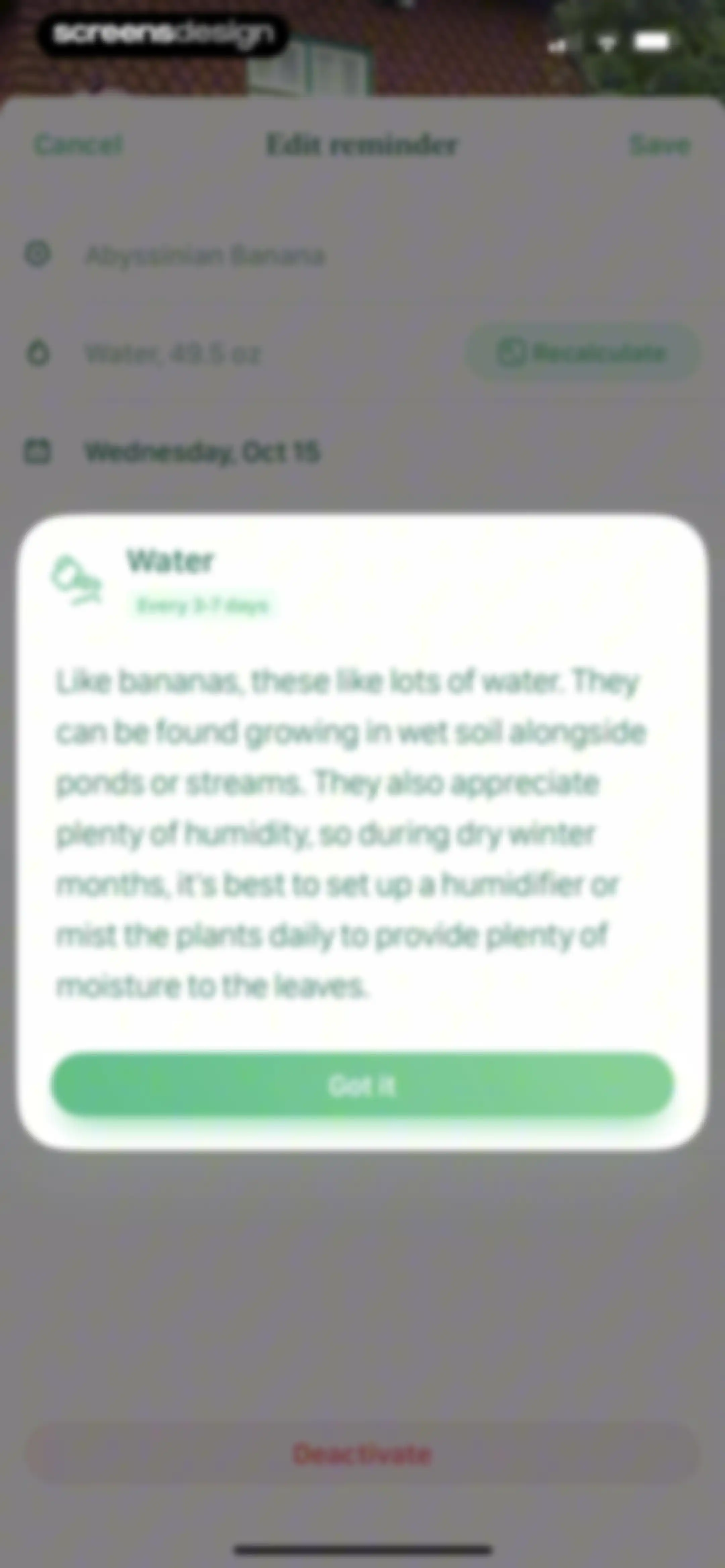 Blossom - Plant Care Guide screen 52