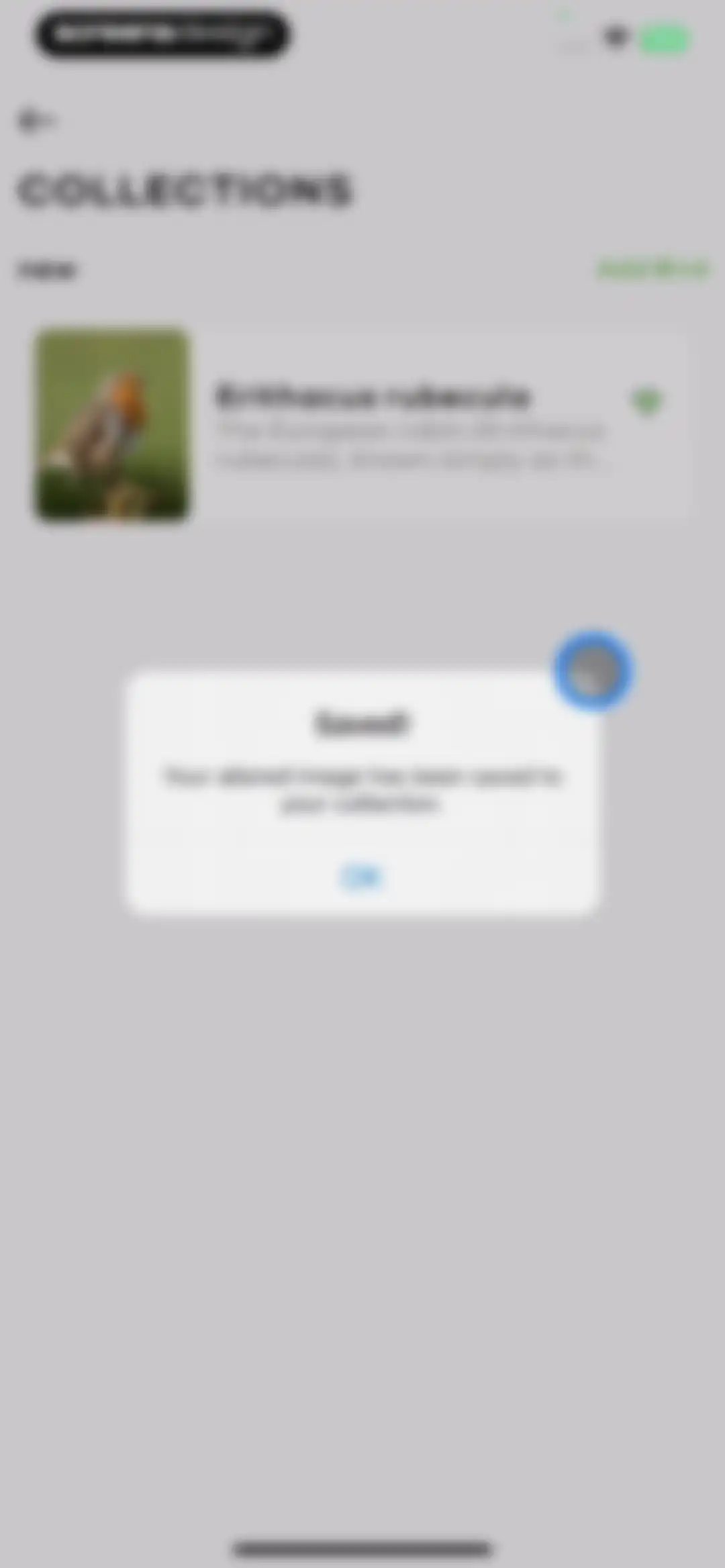 Bird Sounds Identifier Call ID screen 41