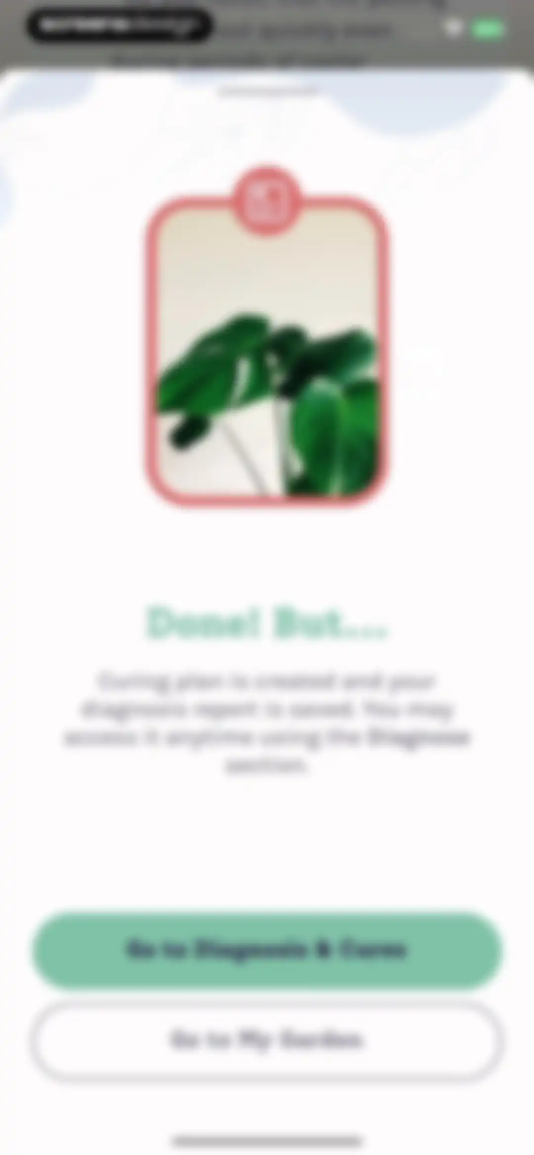 Plant Identifier, Care: Planty screen 68