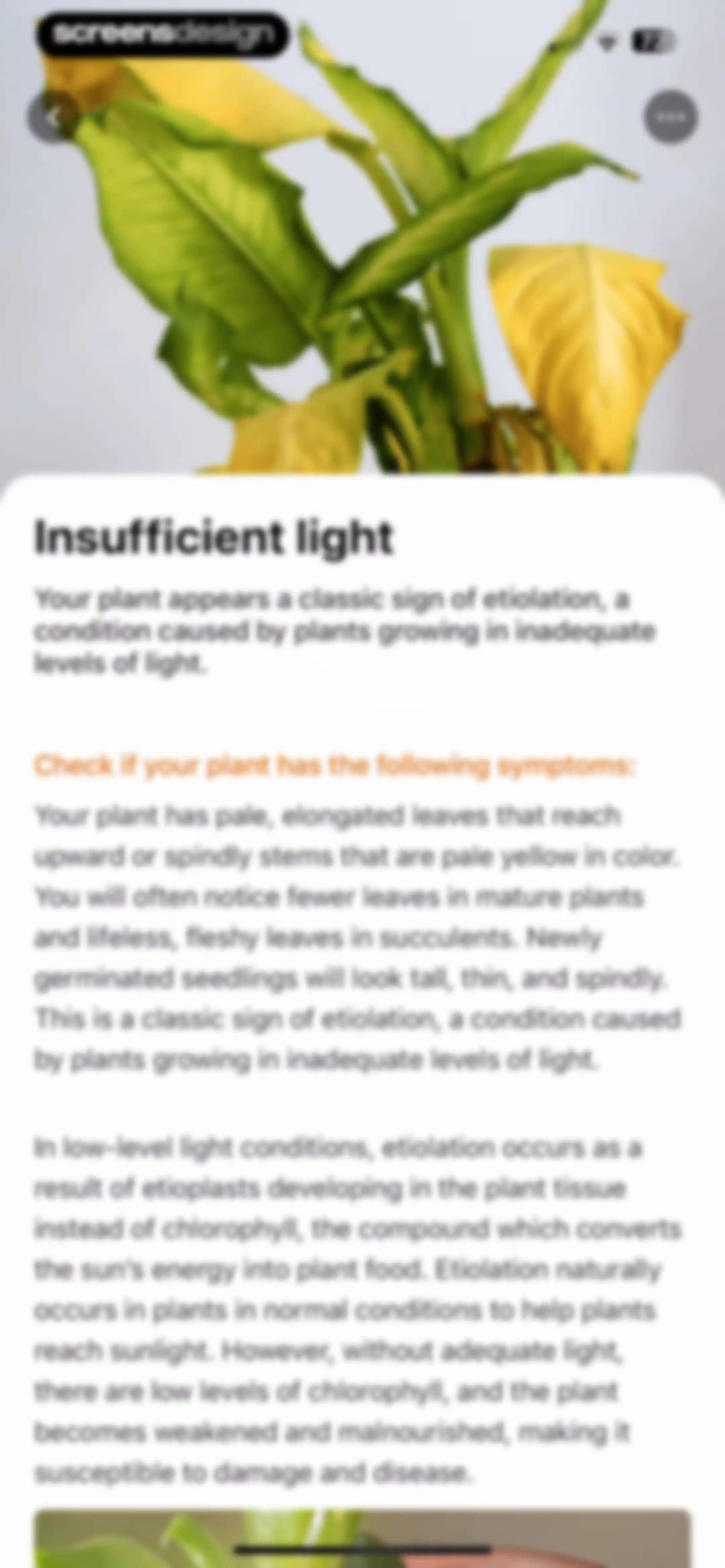 Plant Parent: Plant Care Guide screen 141