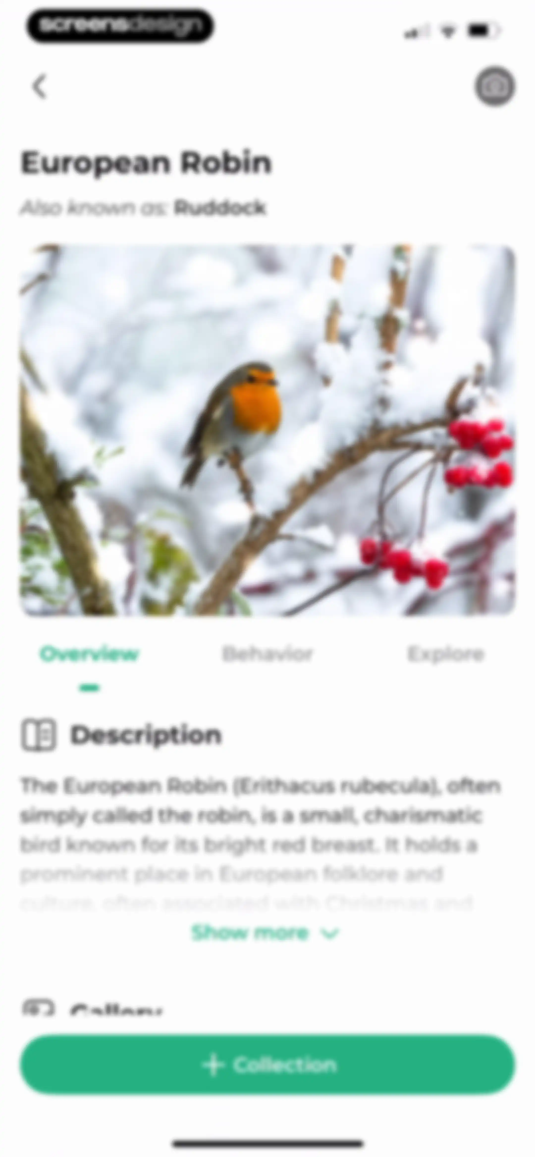 Bird Identifier: BirdScope screen 64