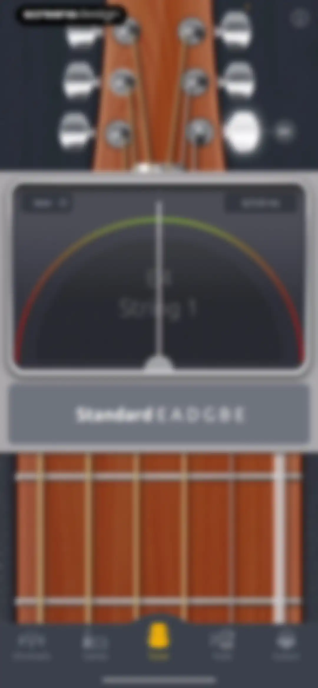 Guitar Tuner - Ukulele & Bass screen 9