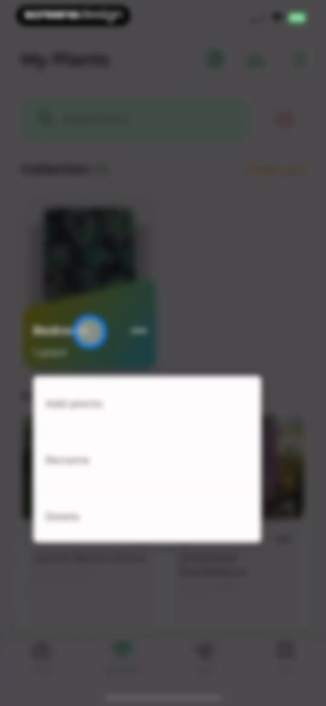 Plant Identifier: LeafSnap screen 50