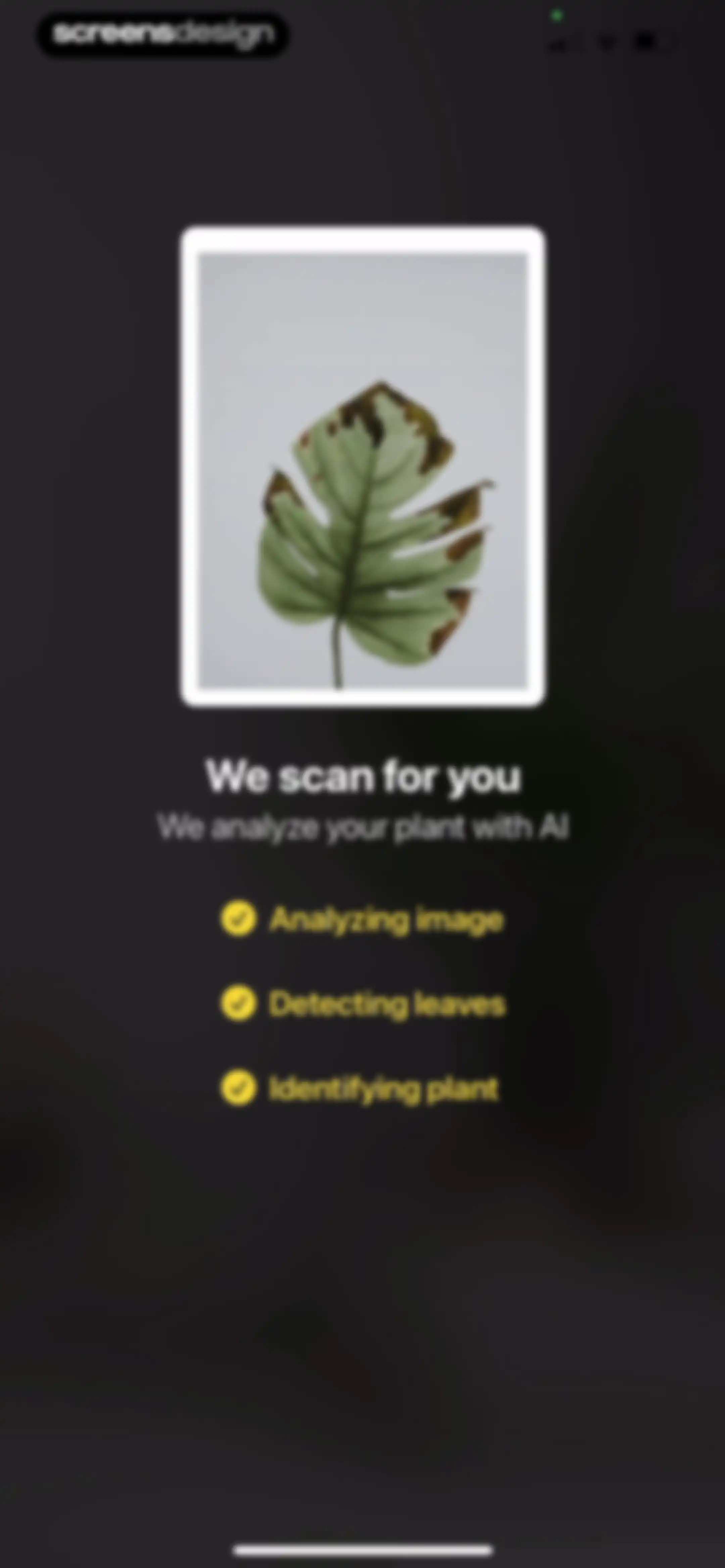 Plant App: Plant Identifier screen 64