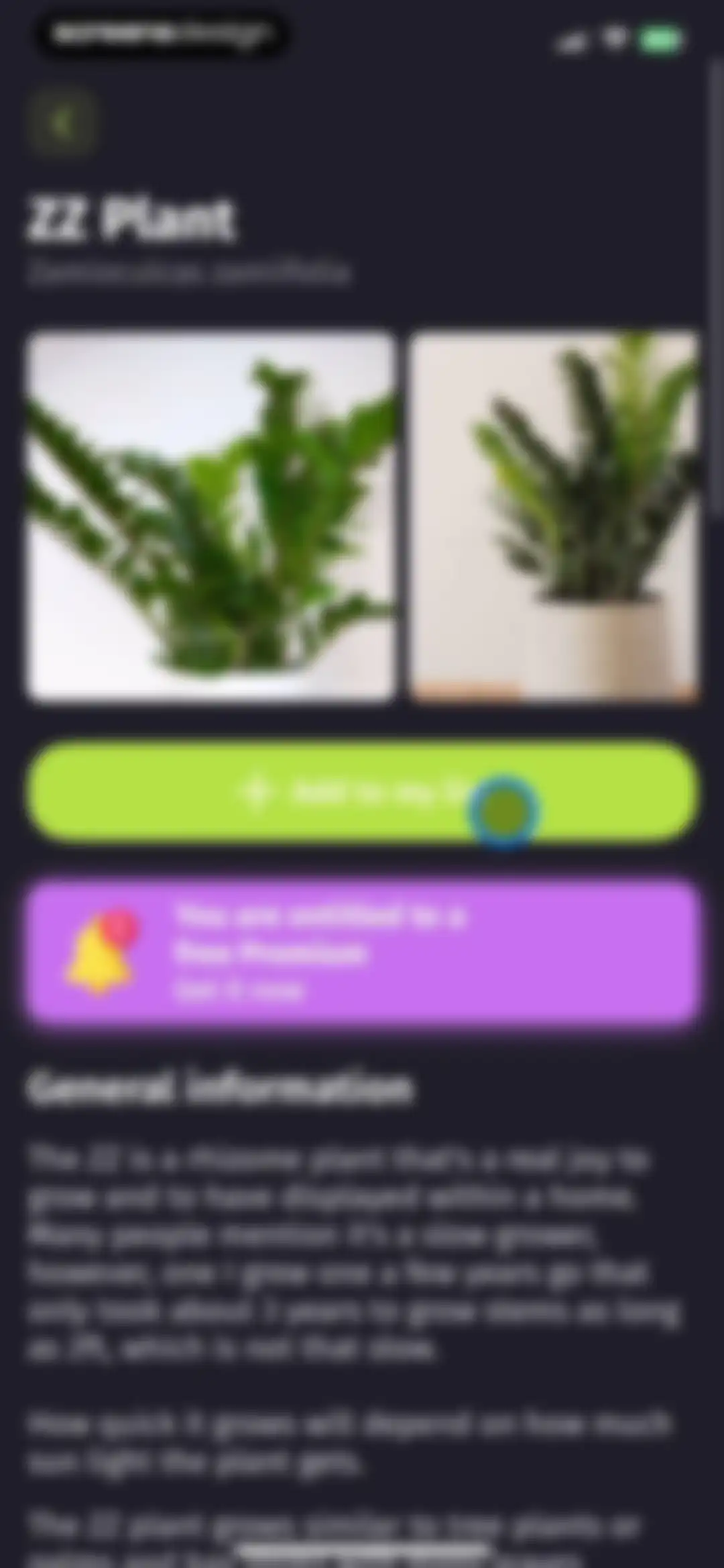 Plantion - Plant Identifier screen 34