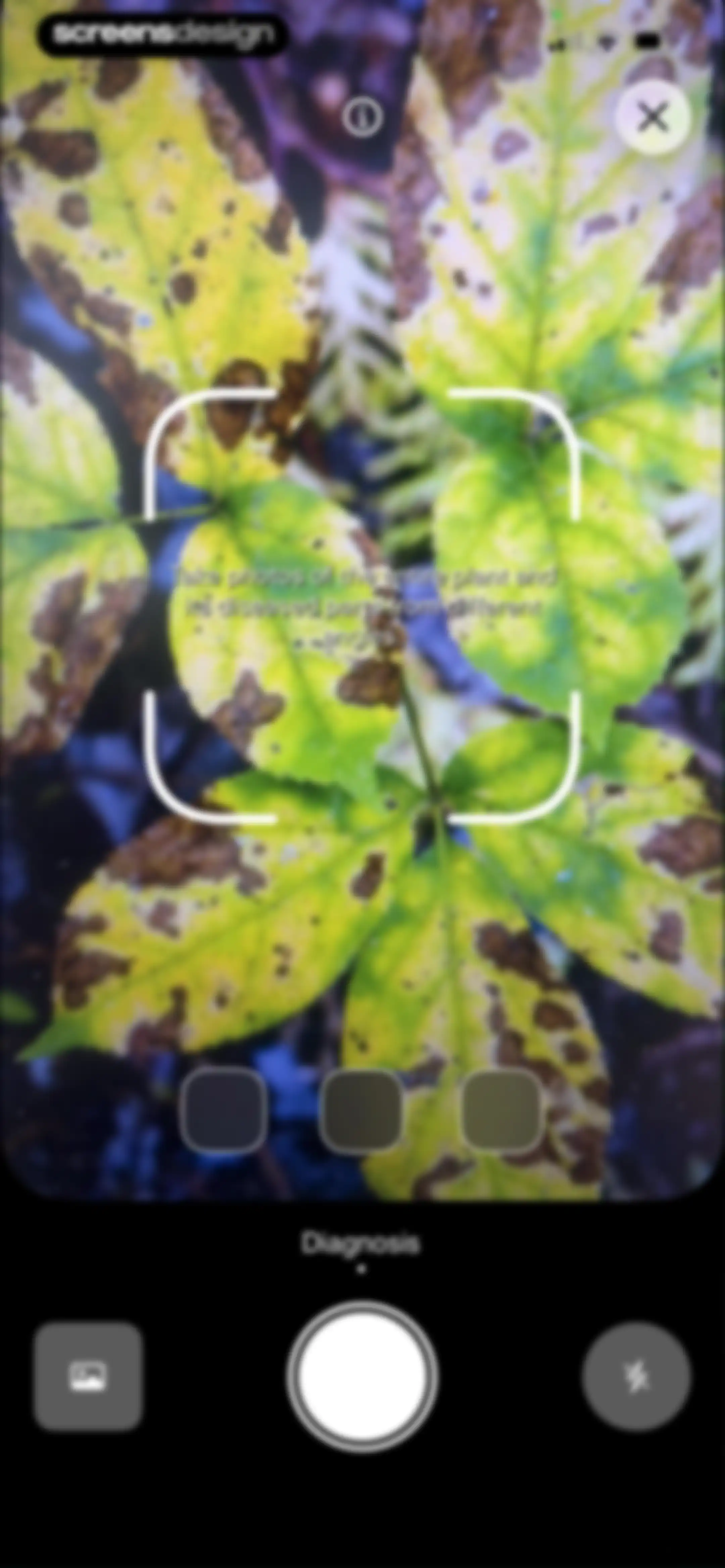 Planto: Plant Identifier screen 26