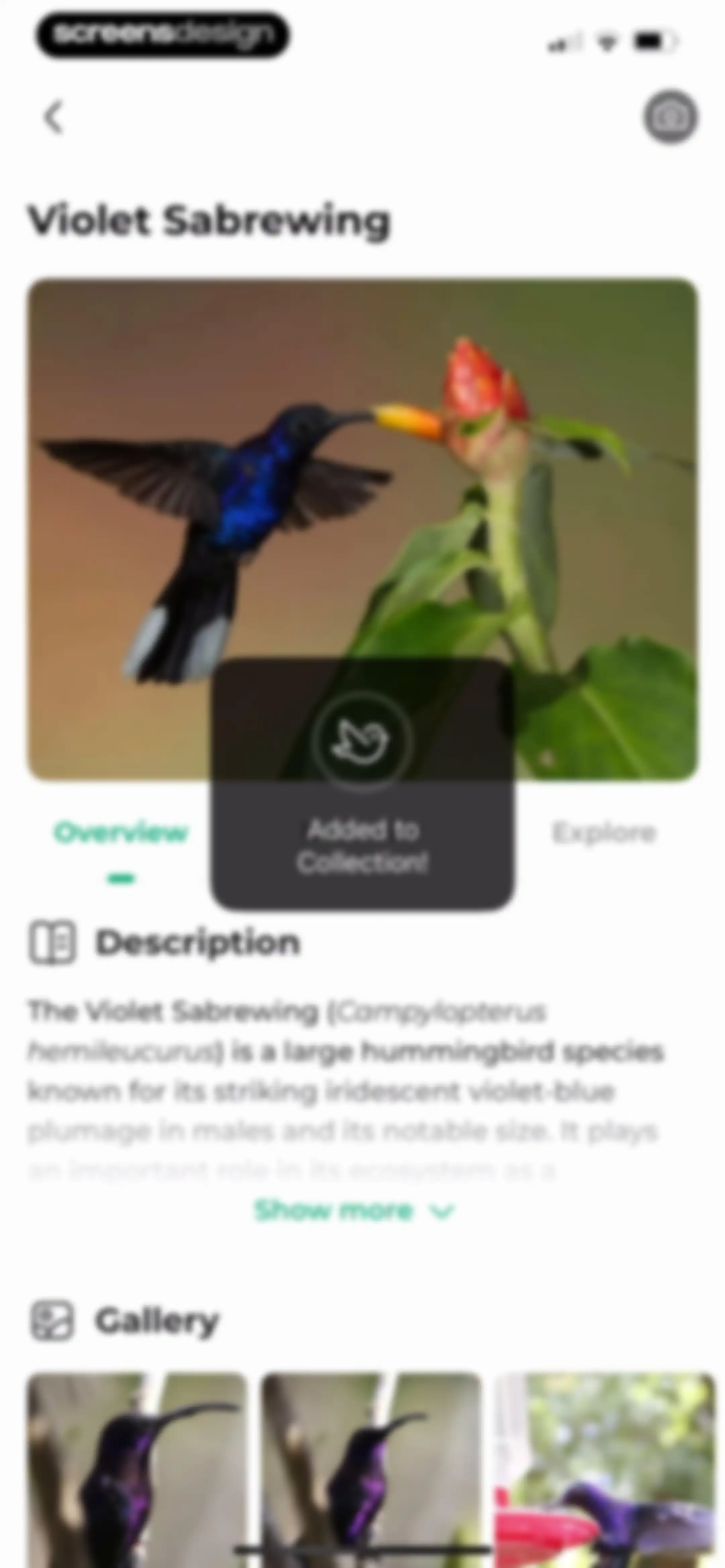 Bird Identifier: BirdScope screen 52