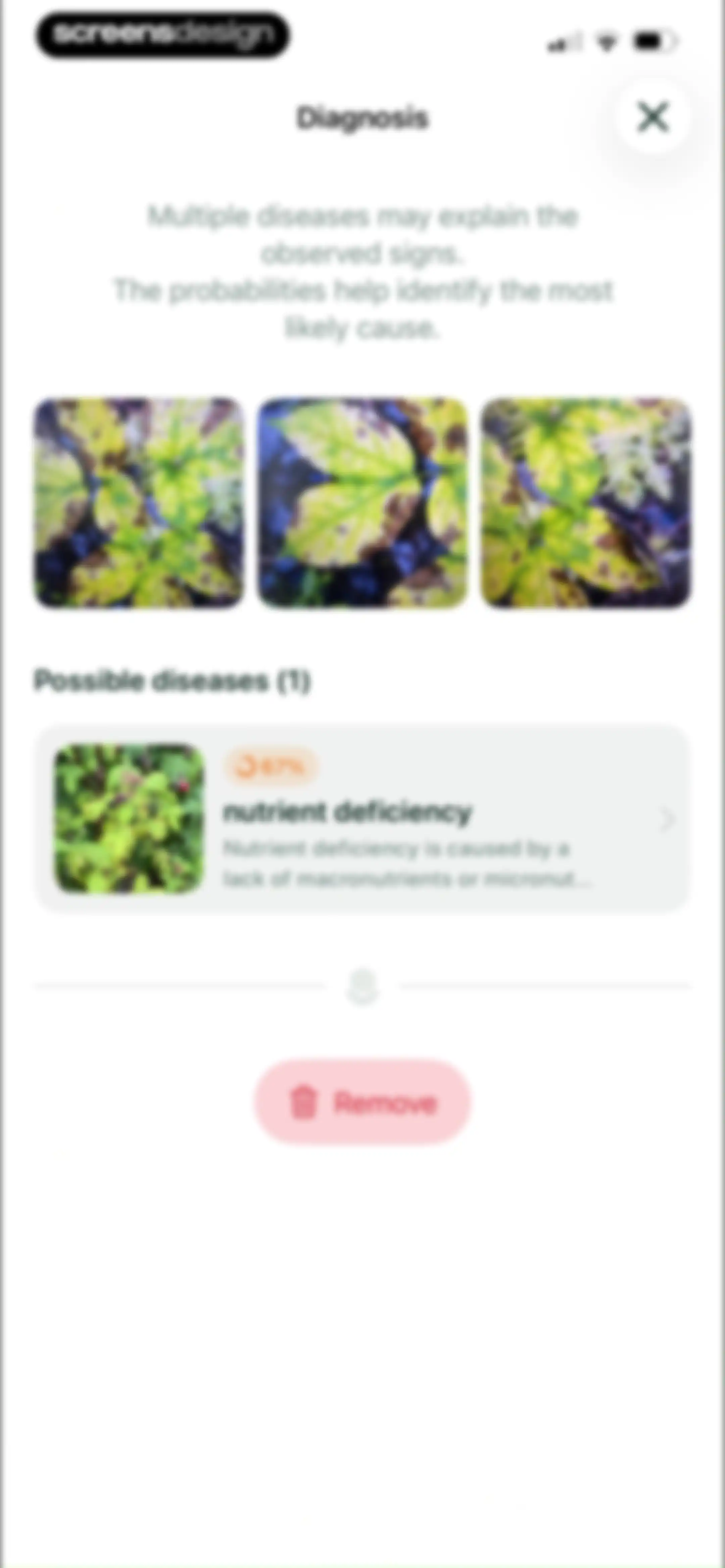 Planto: Plant Identifier screen 28