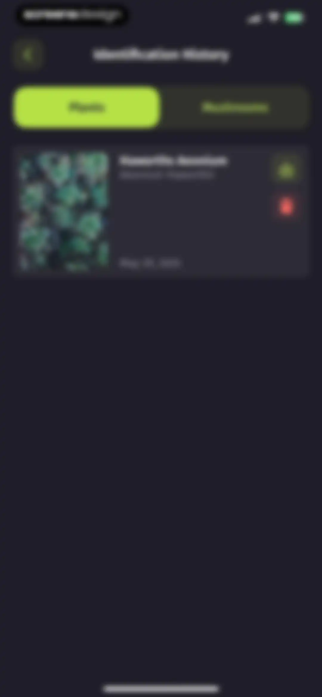 Plantion - Plant Identifier screen 31
