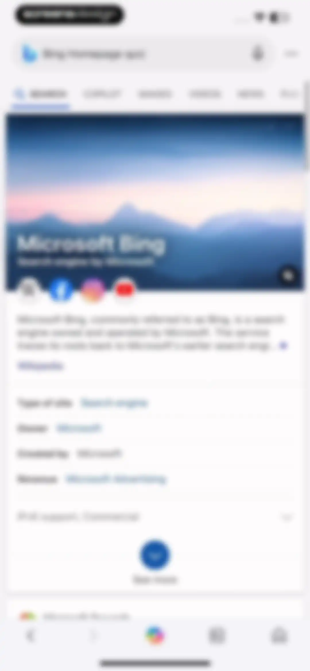 Microsoft Bing Search screen 232