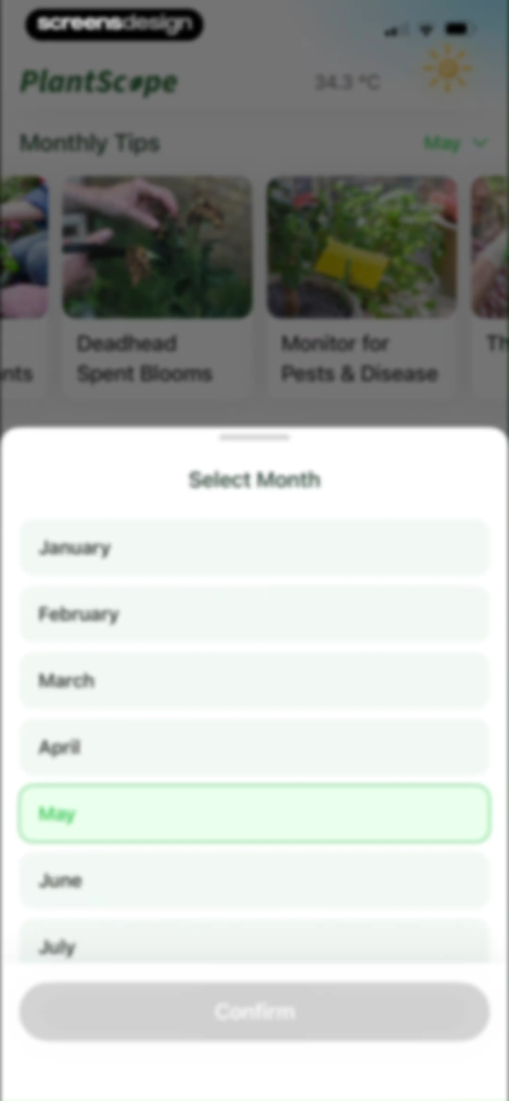 Plant Identifier & Plant Care. screen 70