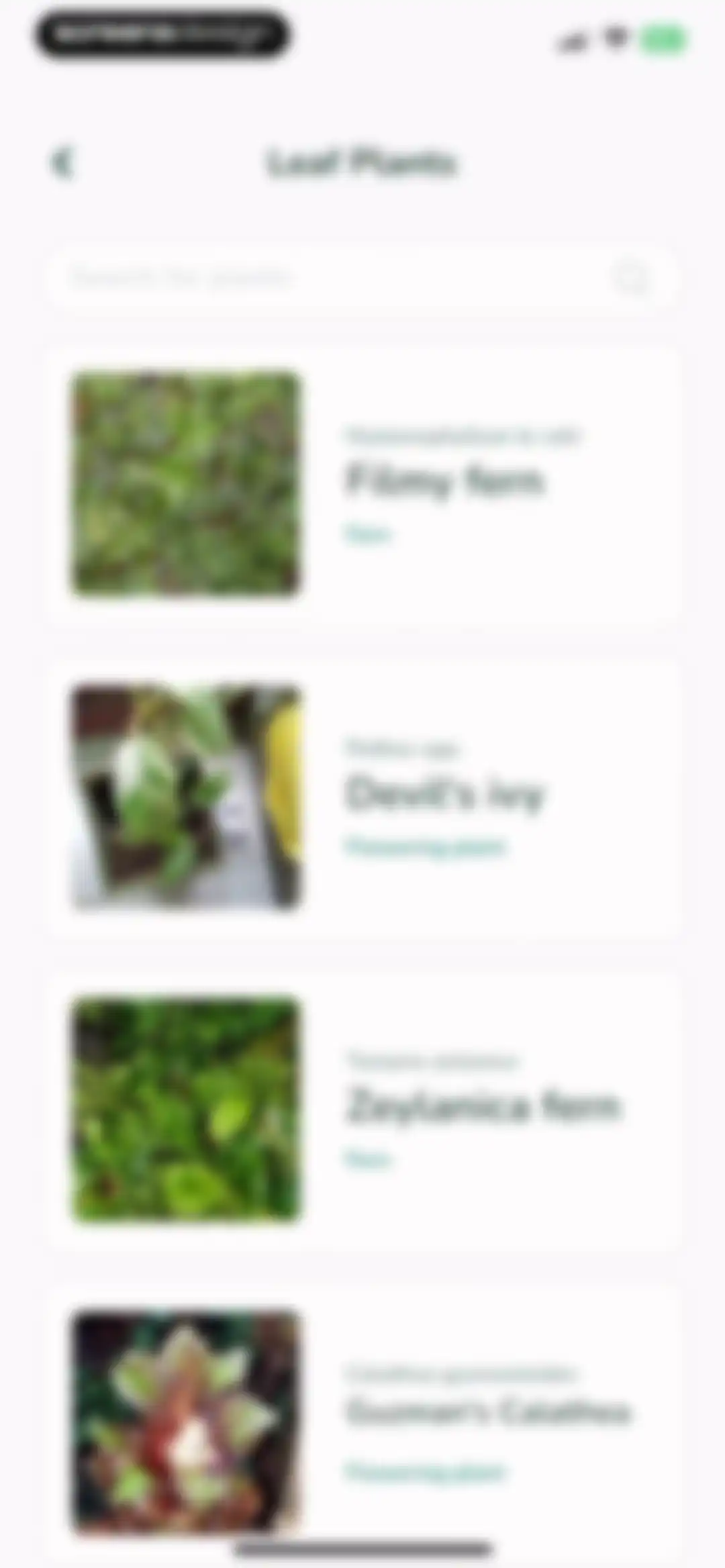 Plantify: AI Plant Identifier screen 20