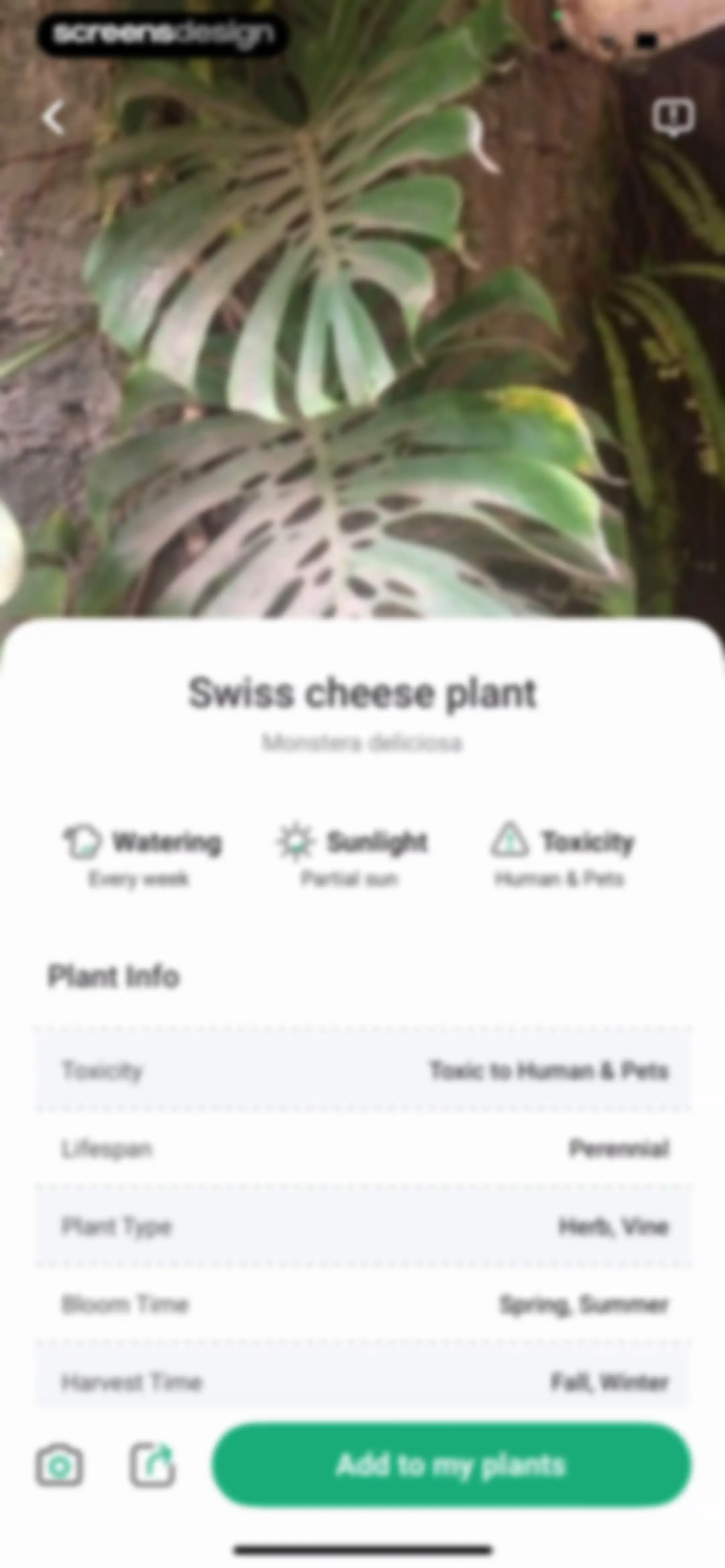 PlantDaily: AI Plant Care screen 75