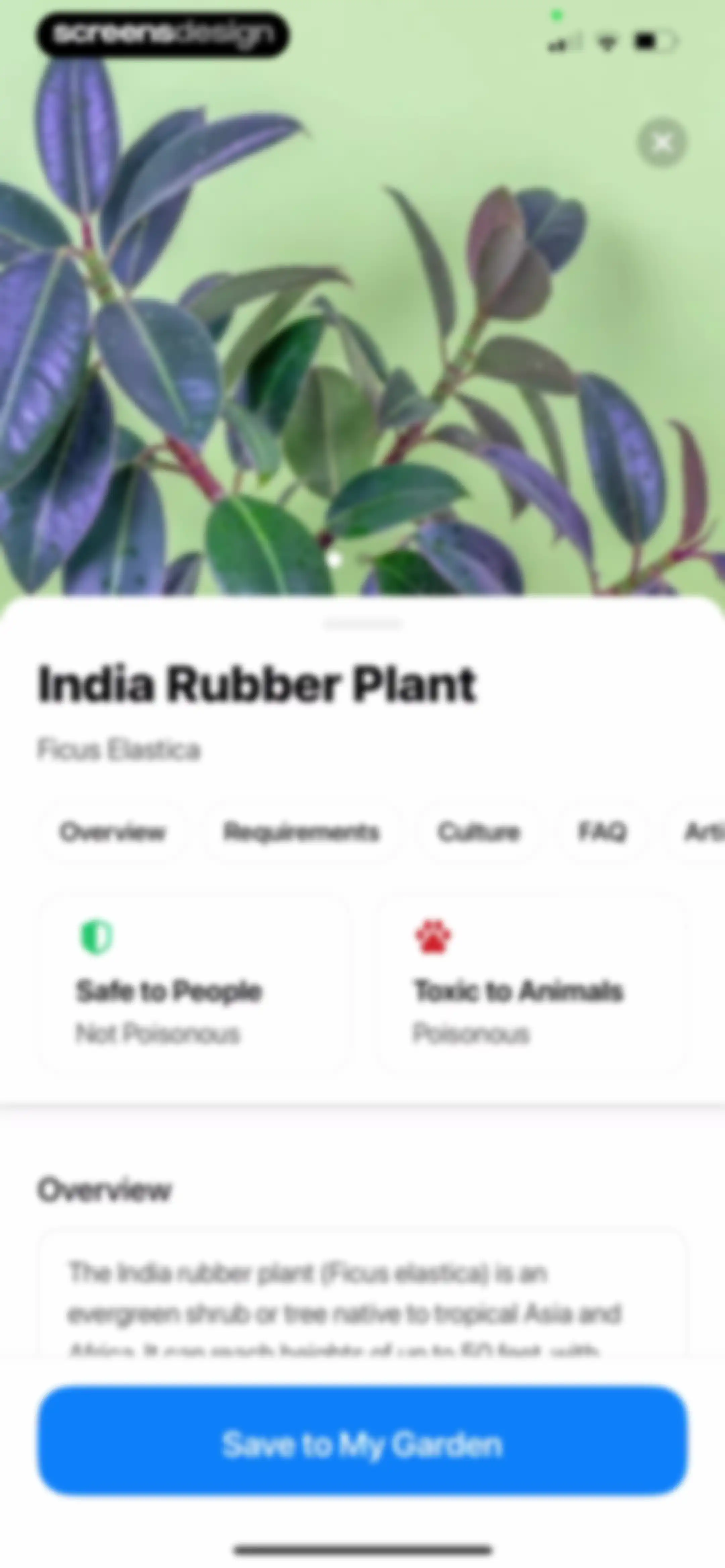 Plant App: Plant Identifier screen 47
