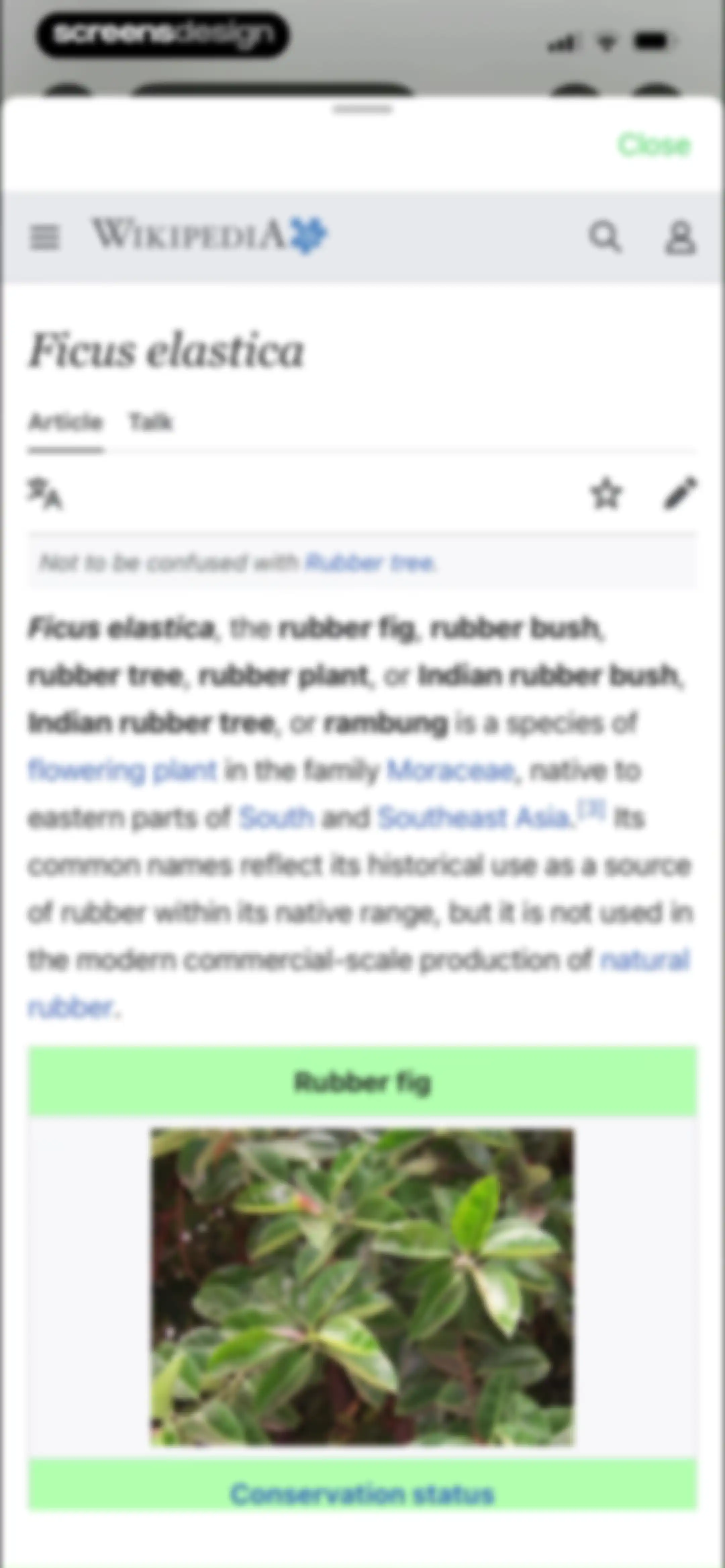 Free Plant Identifier screen 21