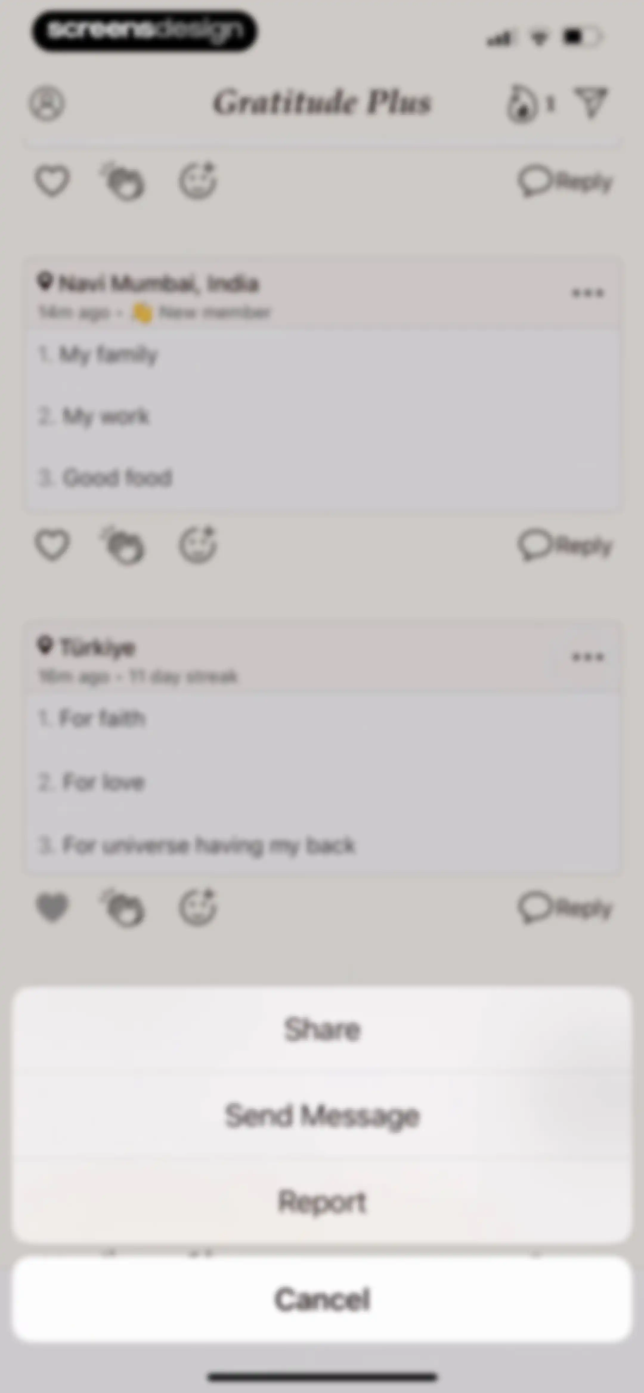 Gratitude Plus – Journal screen 111