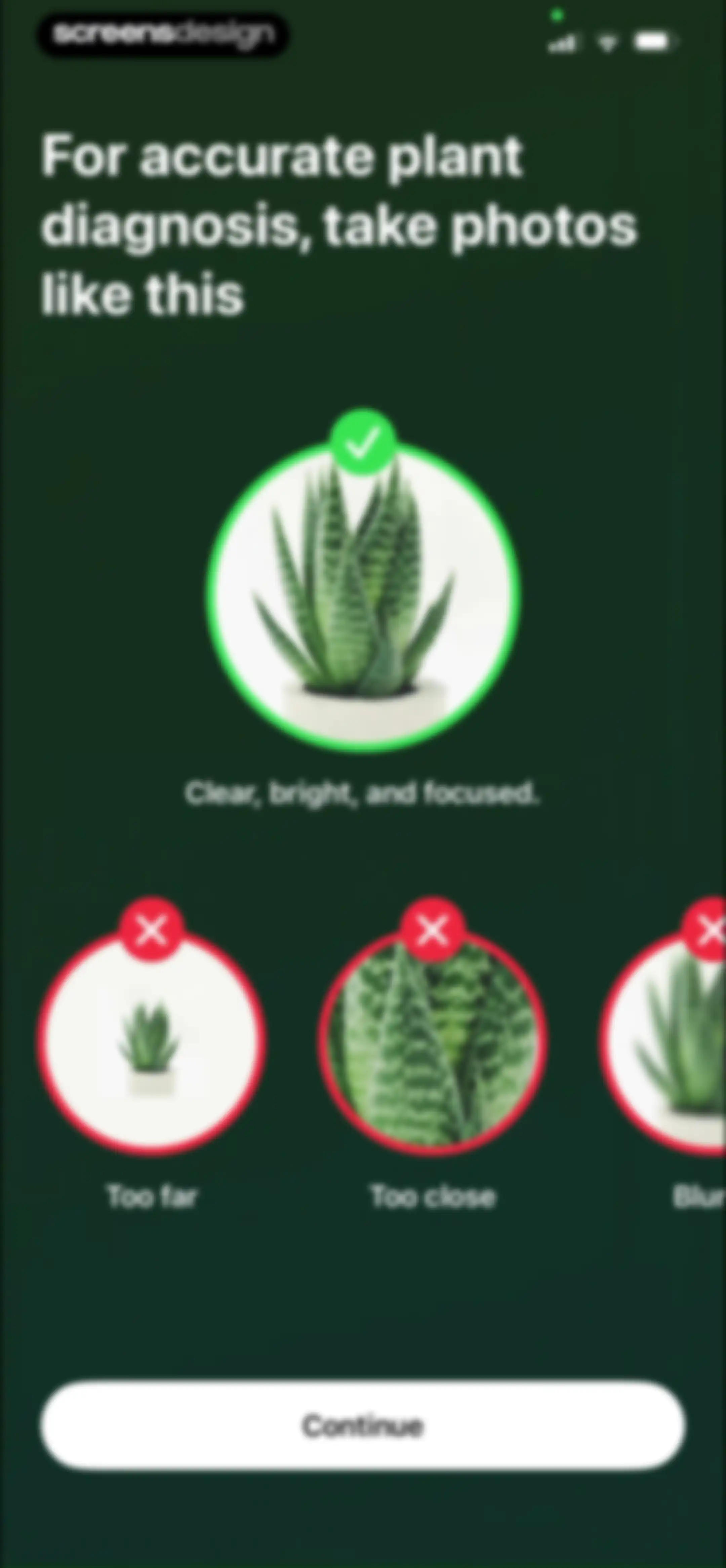 Free Plant Identifier screen 30