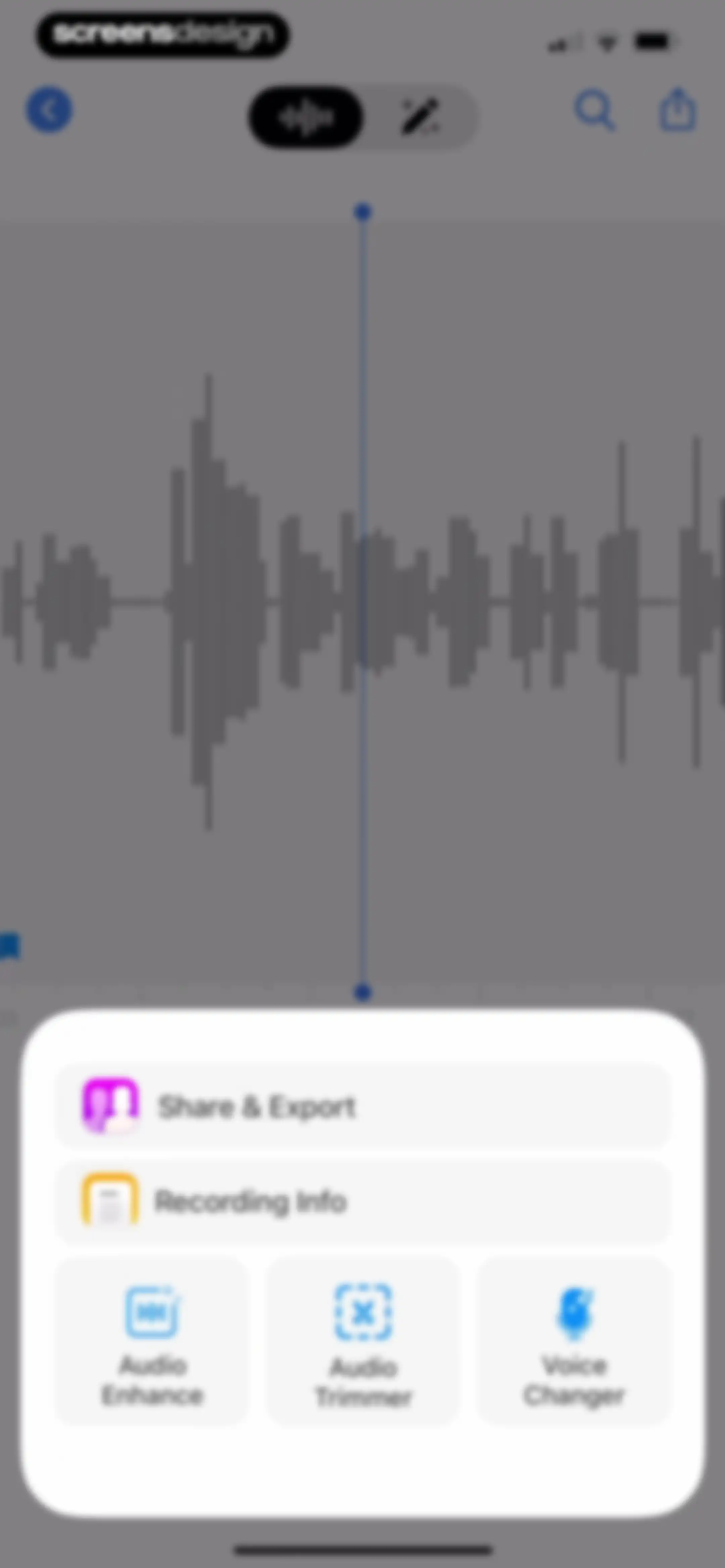 Voice Recorder & Audio Editor screen 34