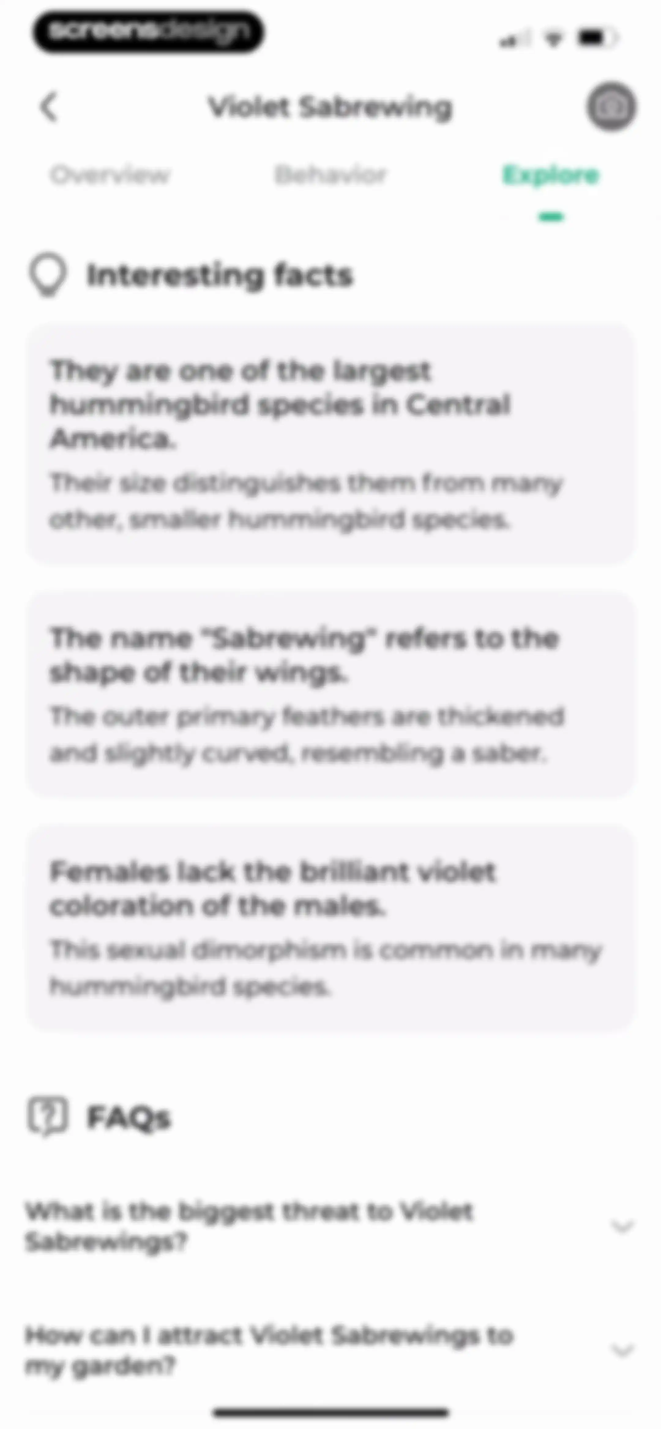 Bird Identifier: BirdScope screen 54