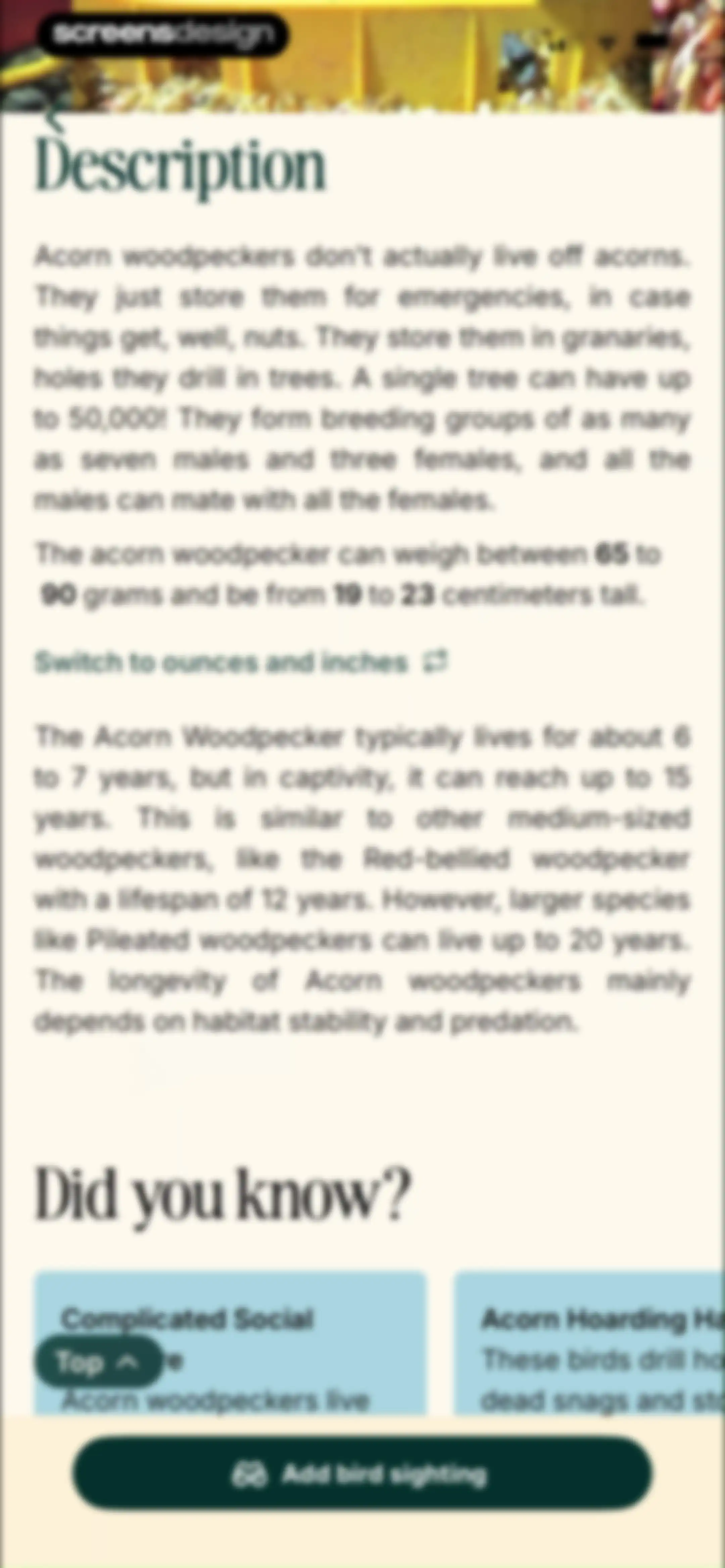 Birdbuddy: ID & Collect Birds screen 55